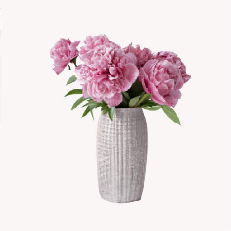 Others Image 01 - Flowers X Webflow Template