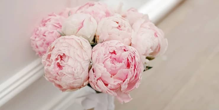 Pexels Image 03 - Flowers X Webflow Template