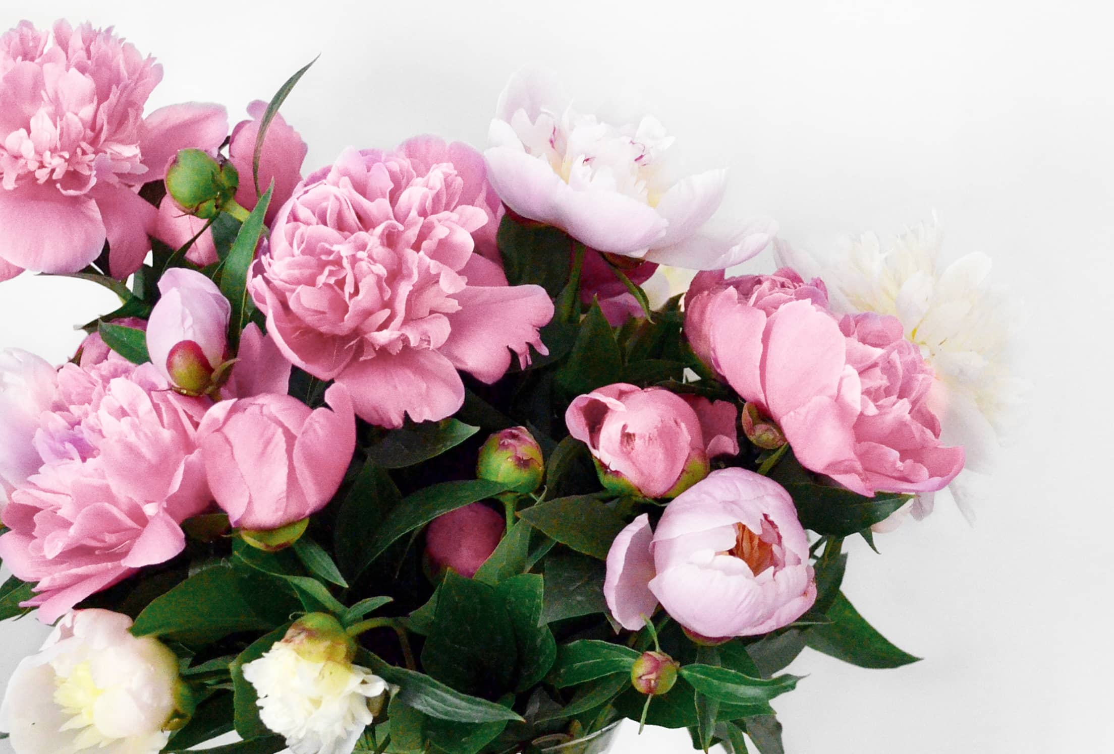 Tips to make your bouquet flowers last longer and stay beautiful