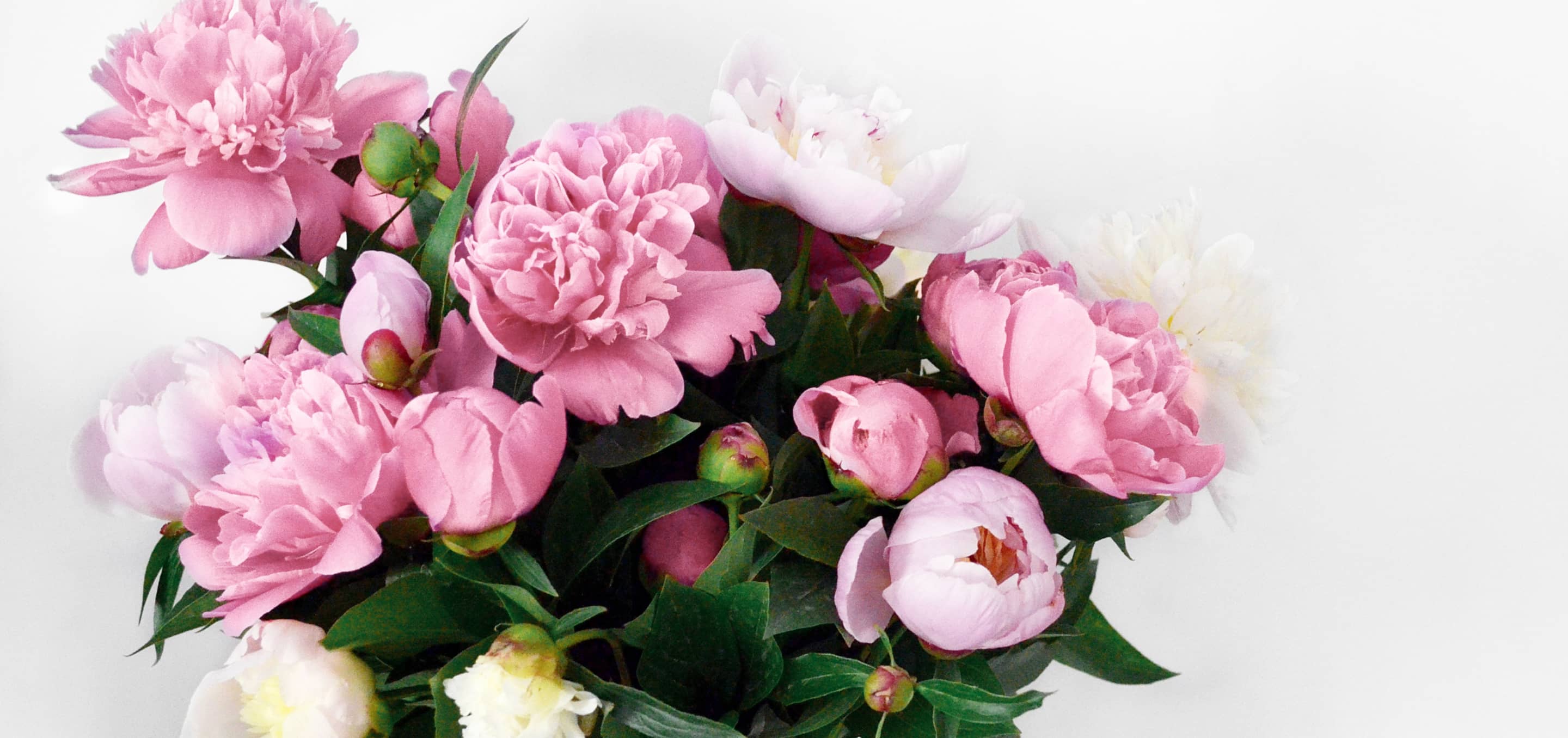 Tips to make your bouquet flowers last longer and stay beautiful
