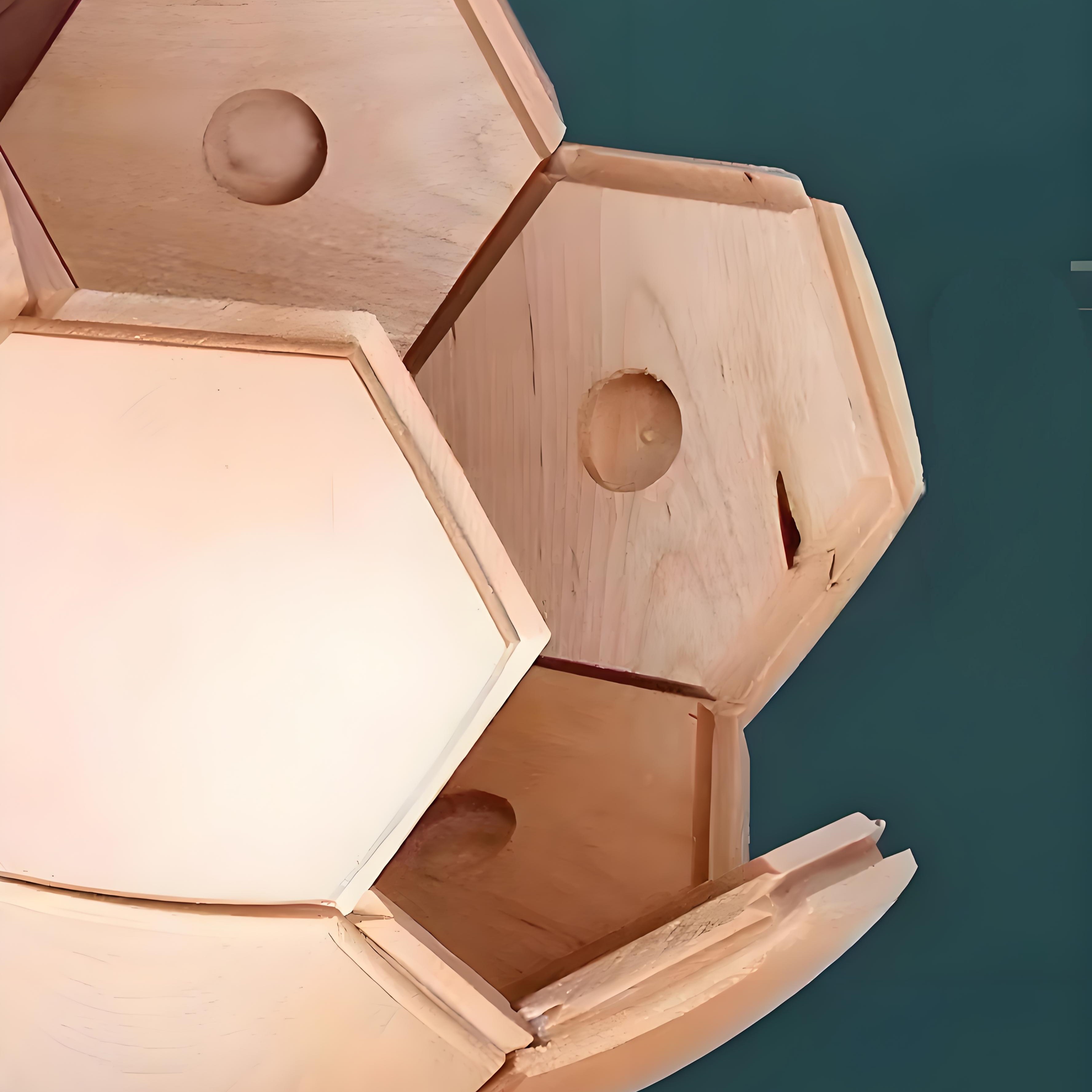 Structure Without Nails