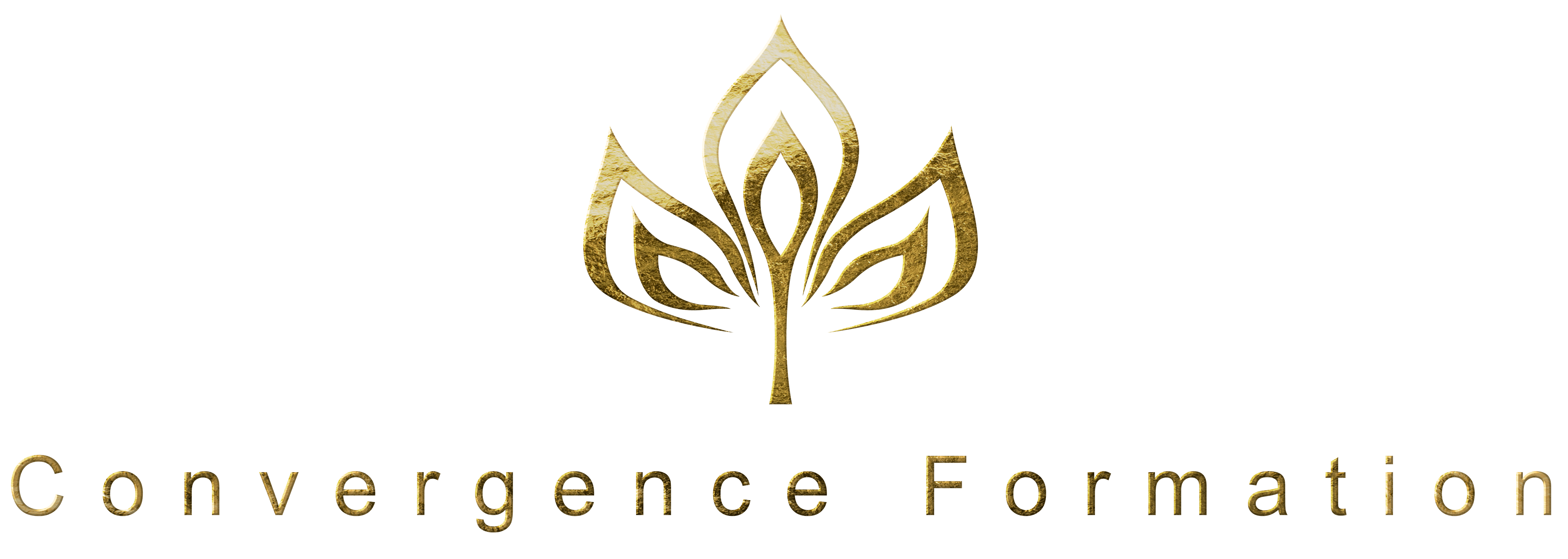 Logo de convergence Formation