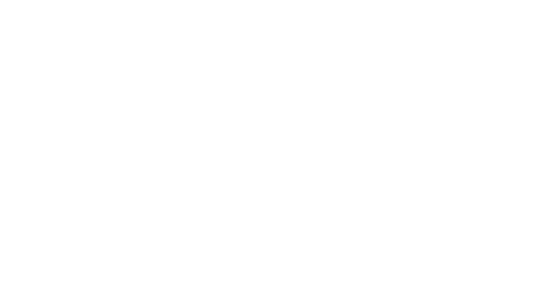 Logo white