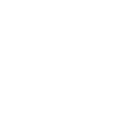 Digitale Transformation Icon