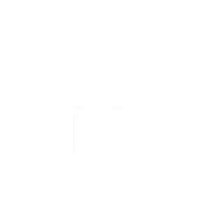 Best Practice Icon
