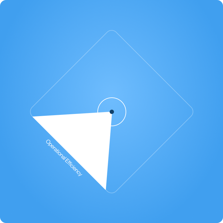 White triangle on a blue background, labeled "Operational Efficiency."