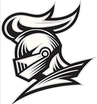 Stiliseret logo af en ridder i profil med hjelm og fjerprydelse, tegnet i sort og hvid med dynamiske linjer – symboliserer styrke, ære og beskyttelse, typisk for en organisation eller gruppe med navnet "The Order of Paladin Knights