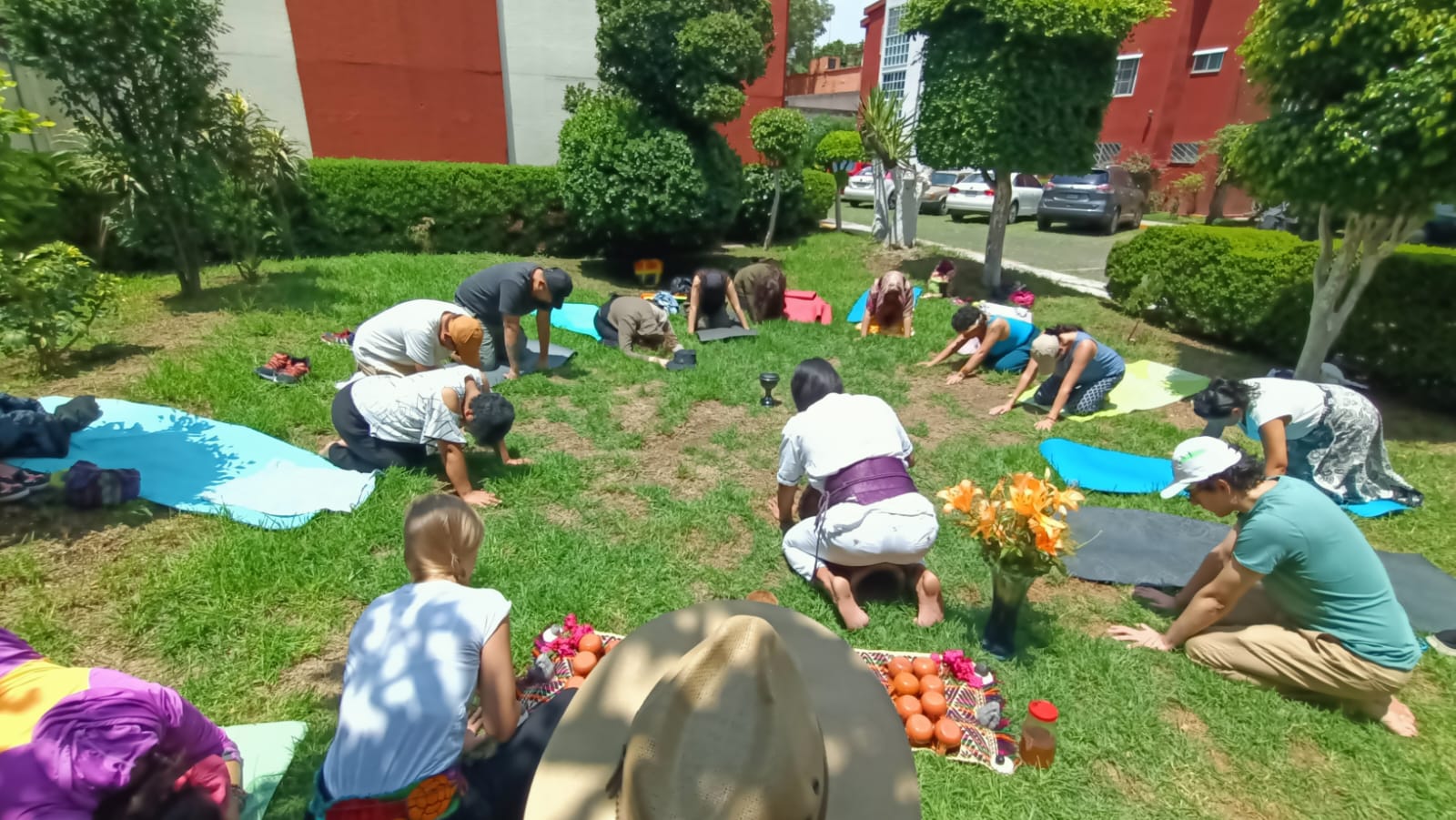A group practicing yoga together on the grass in a city park