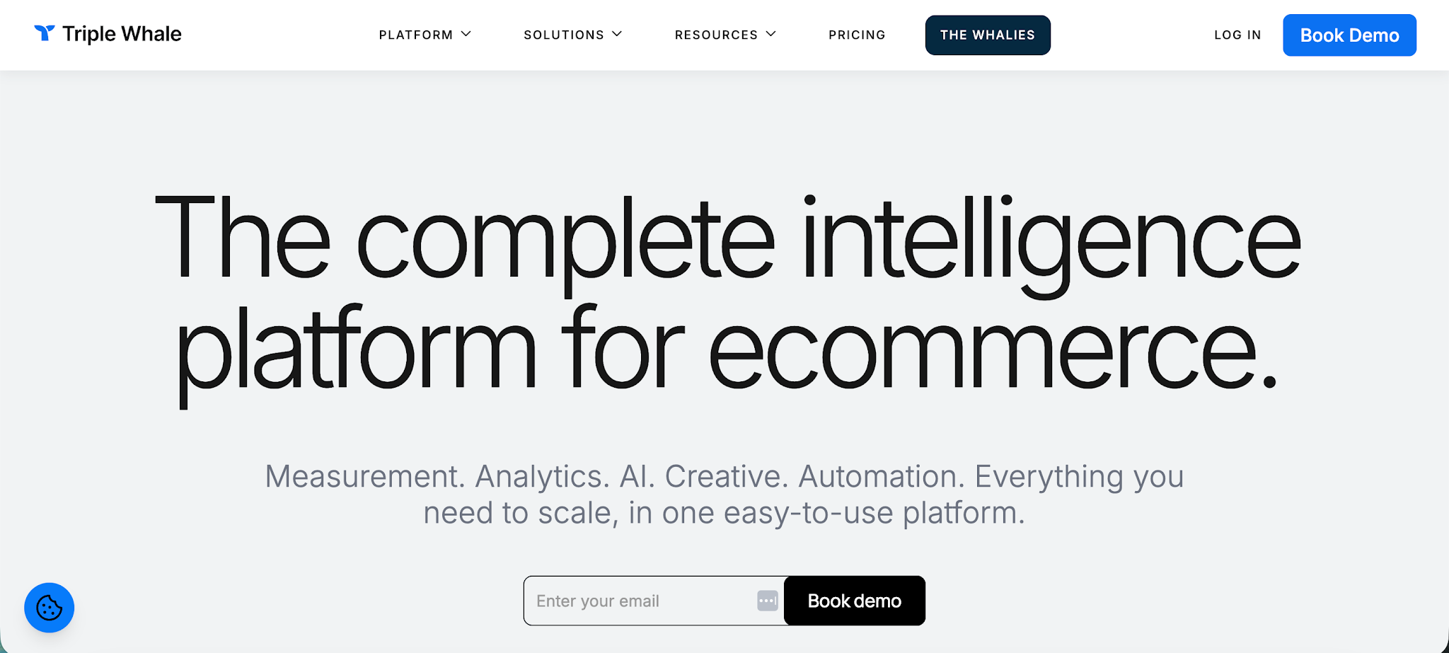 ecommerce analytics tool - triple whale