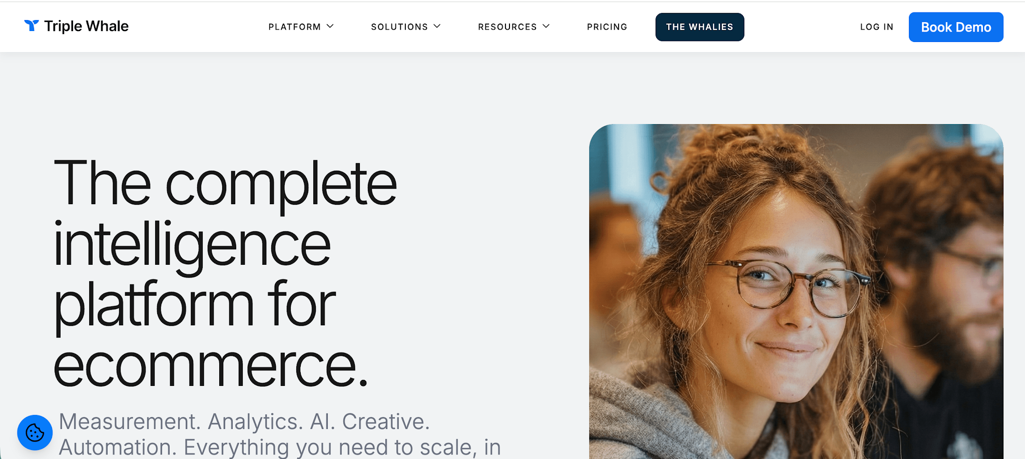 ppc reporting tool - triple whale