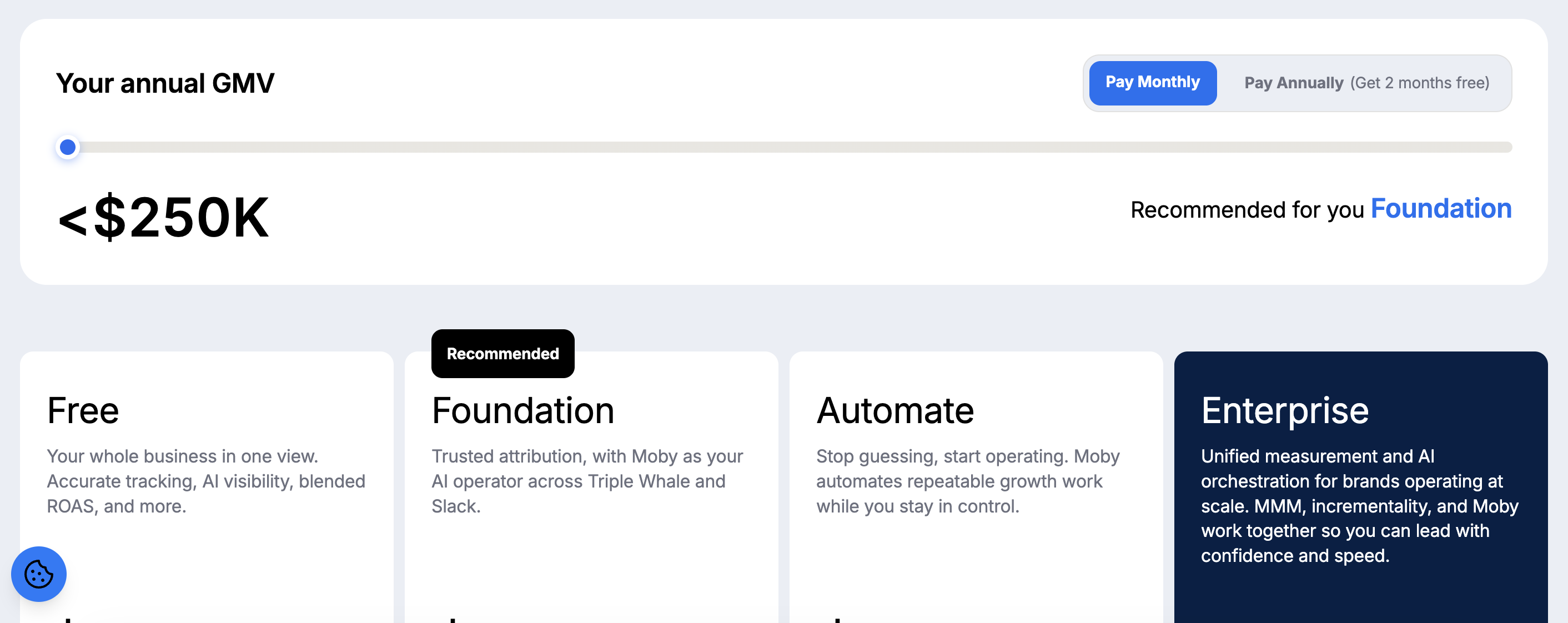 Triple Whale pricing: basics