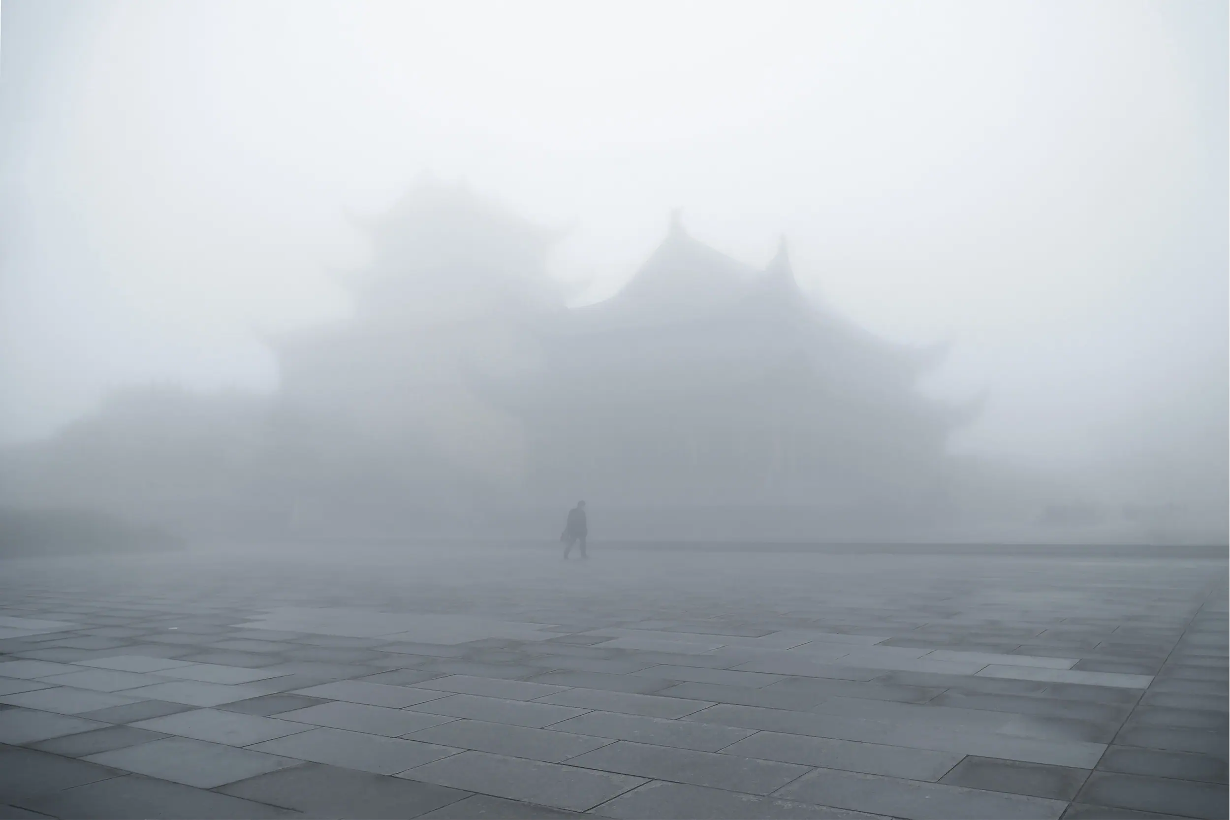 Untitled, Jingyi Zhang (China)