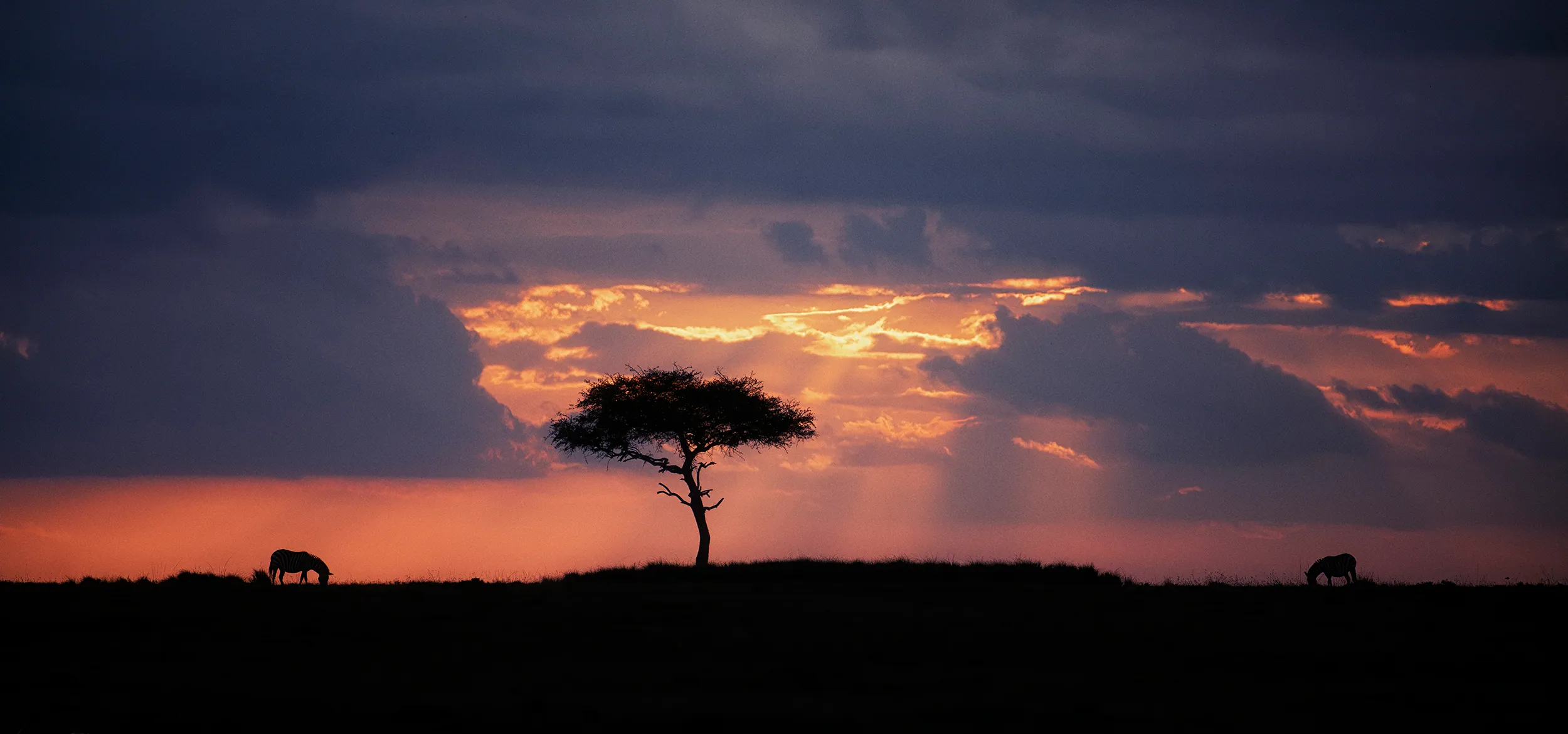 African Stillness, Anuj Kumar Rawla (India)