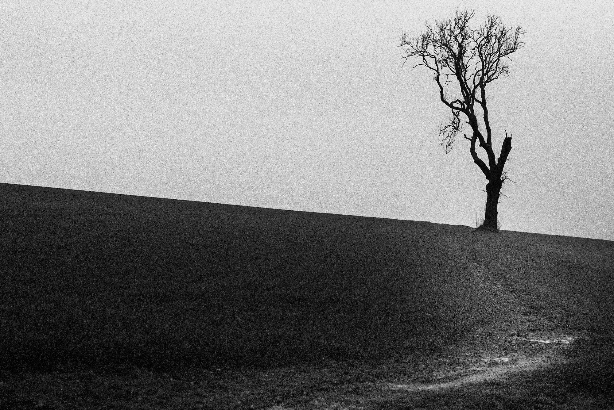 Slow Death in the Lee of the Hill, Phil Bixby (UK)