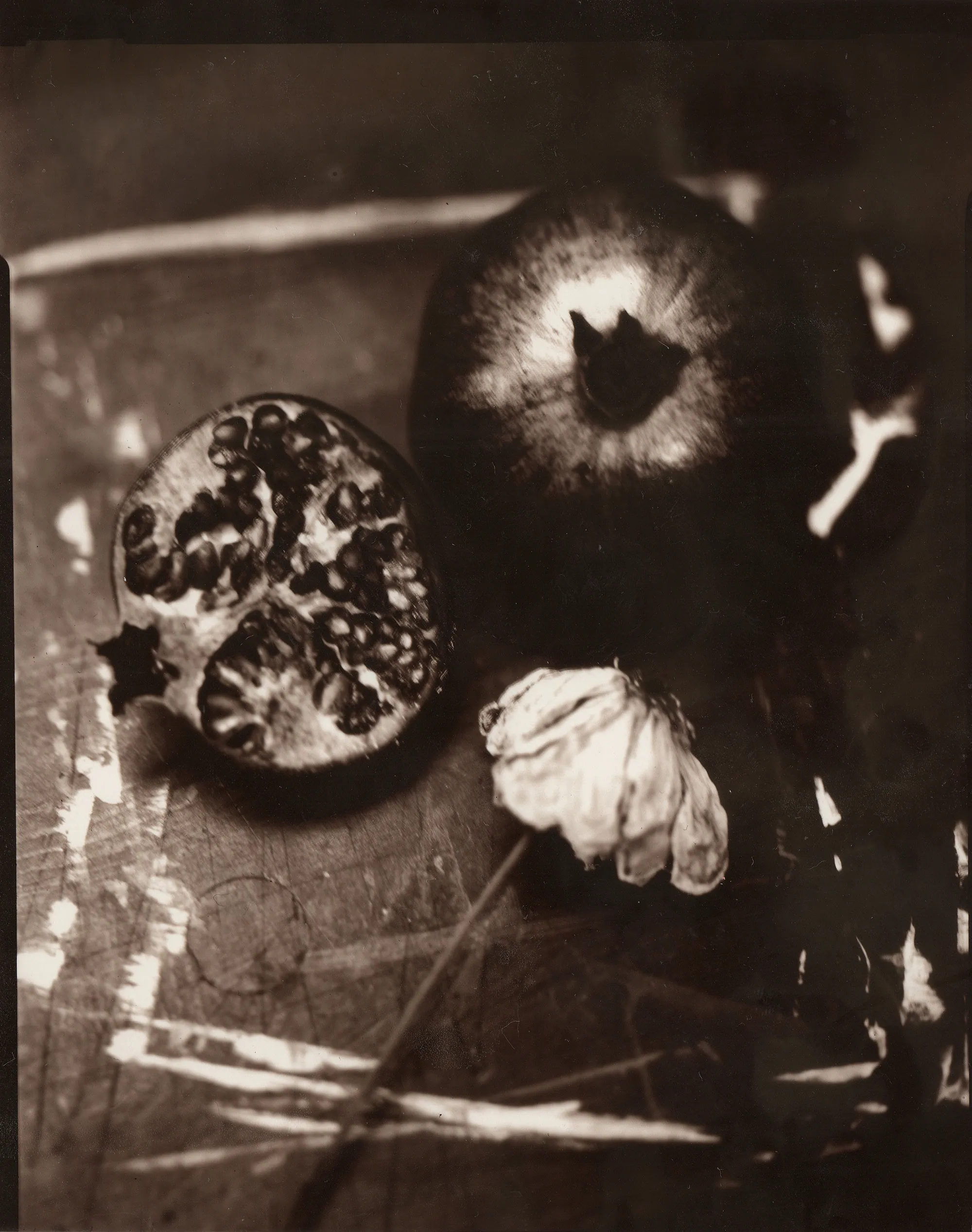 Remainder, Sarah Oates (UK)