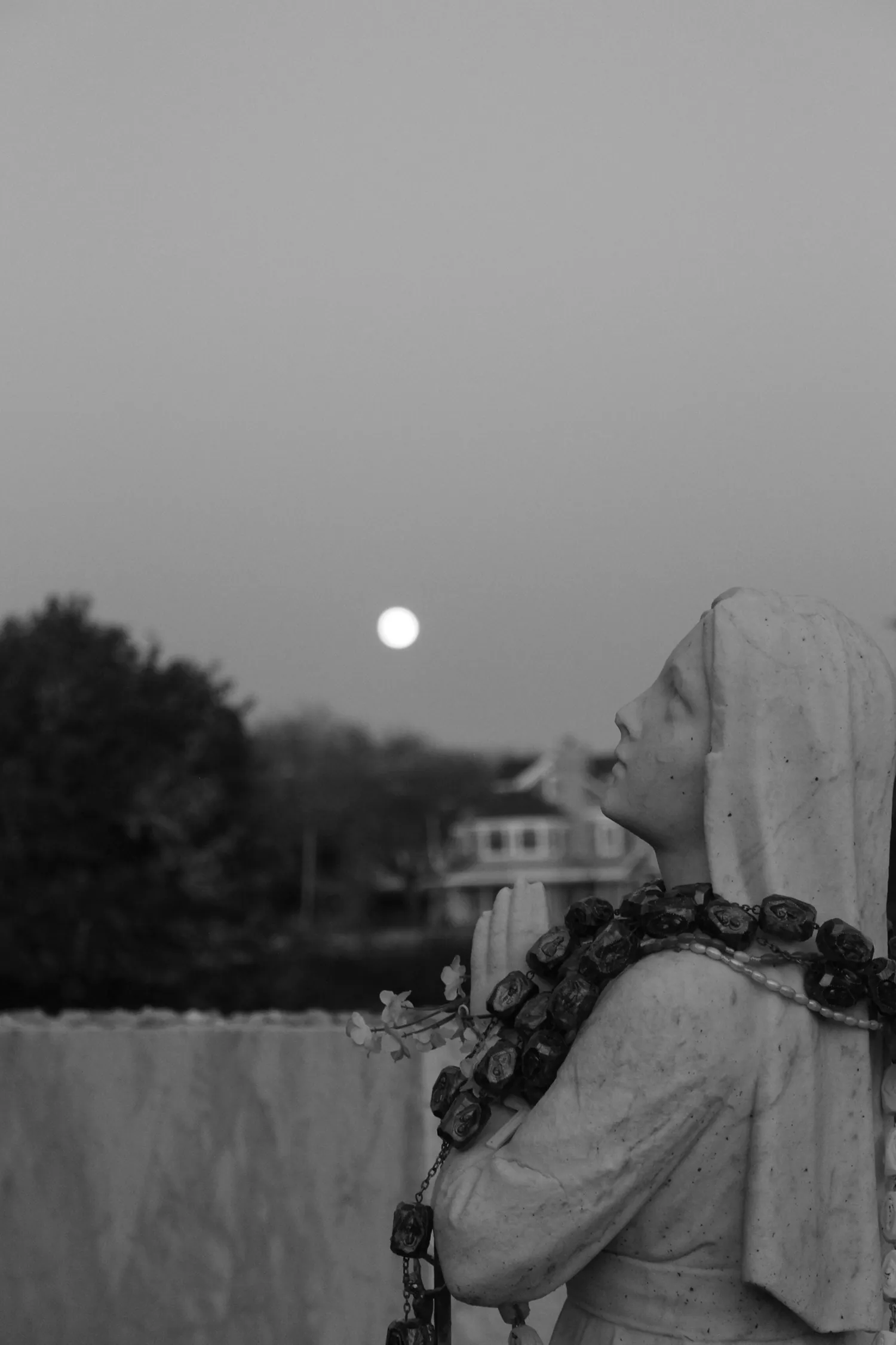 Untitled, Miles Memory (USA)
