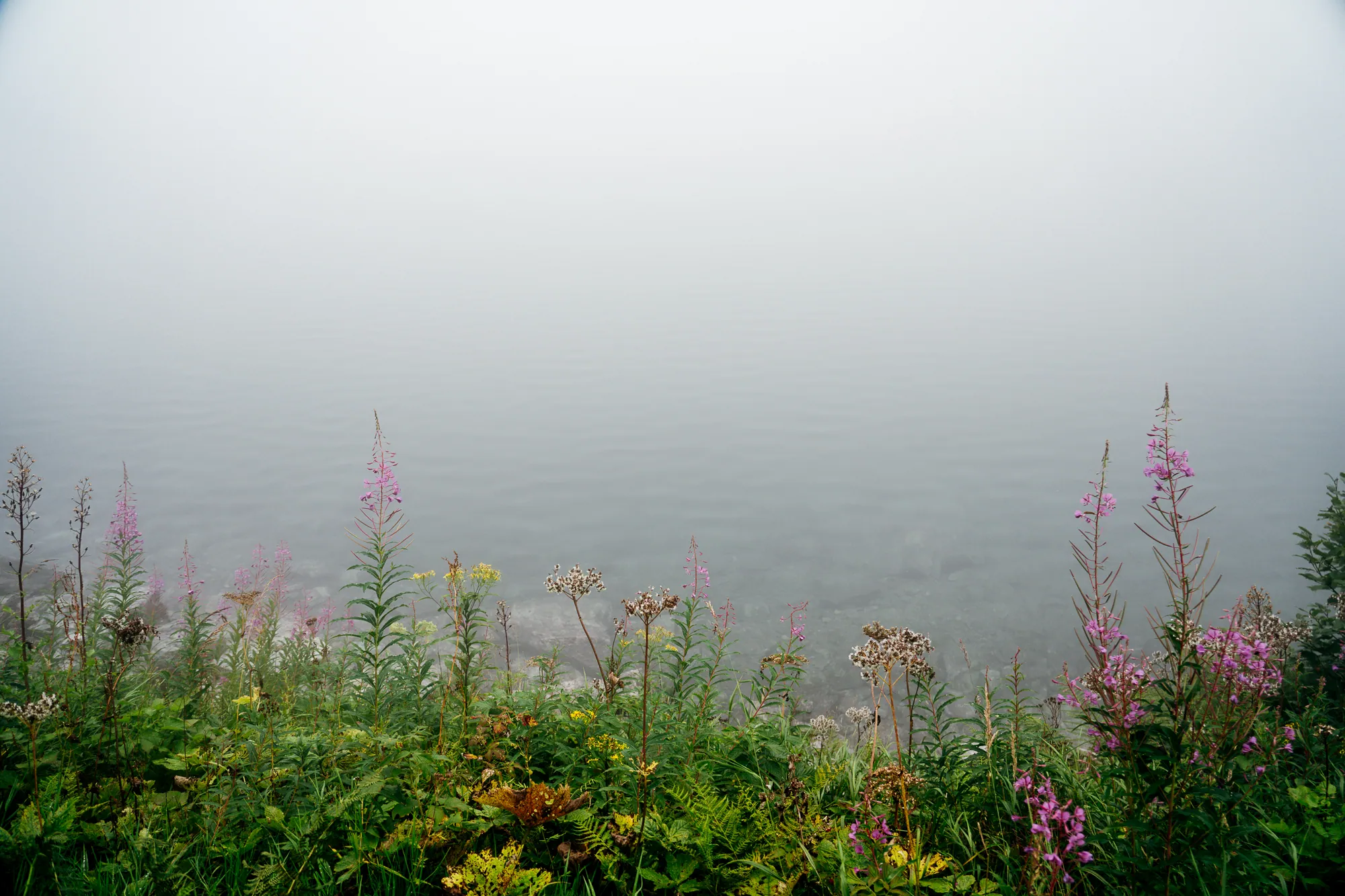 Held in Haze, Juleah Claar (Switzerland)