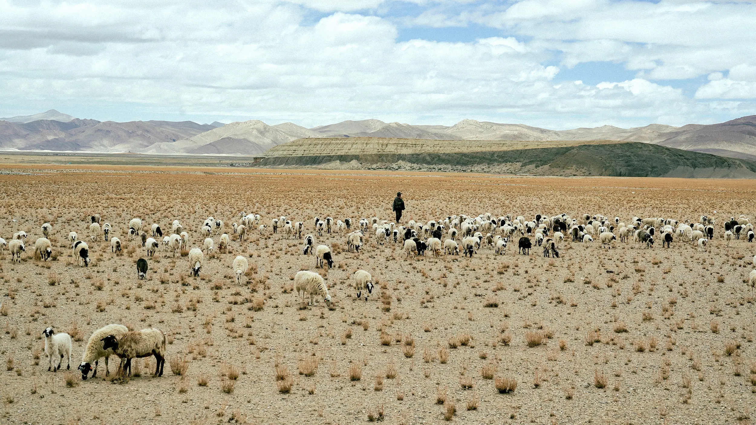 Drifting Ground, Xing Ye (China)