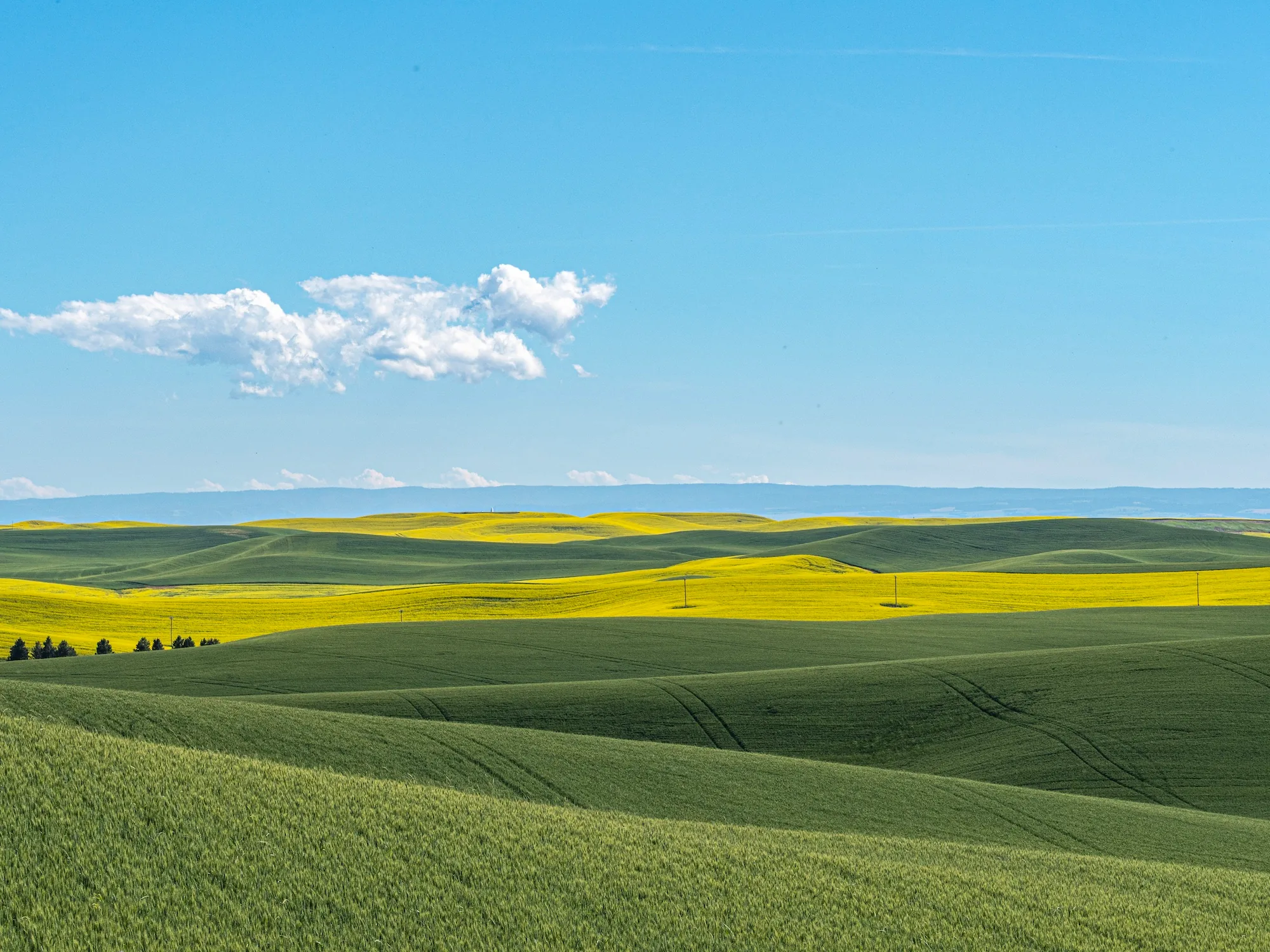 Desktop Hills, Matt Hagen (USA)