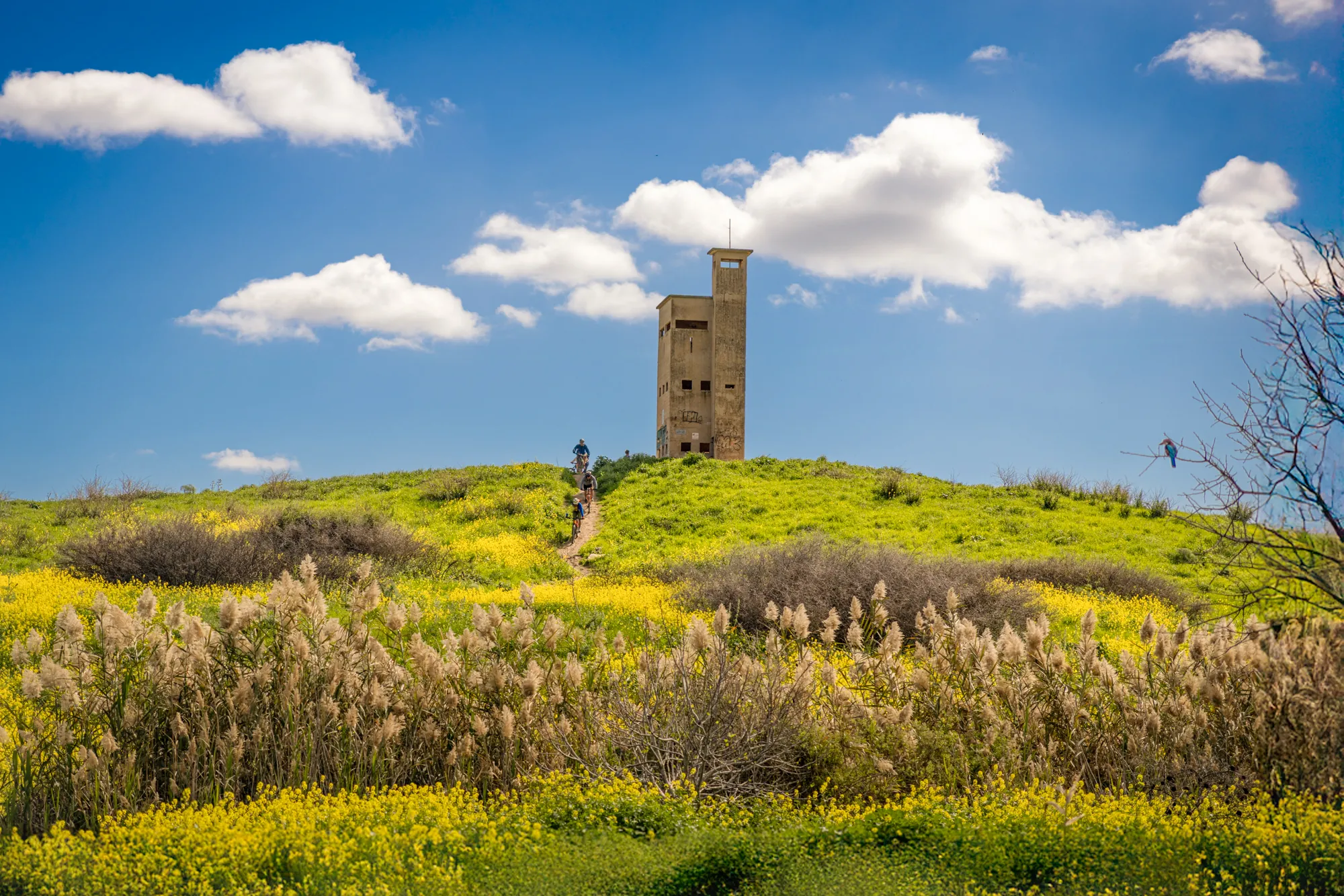 My Hometown, Sivan Swisa (Israel)