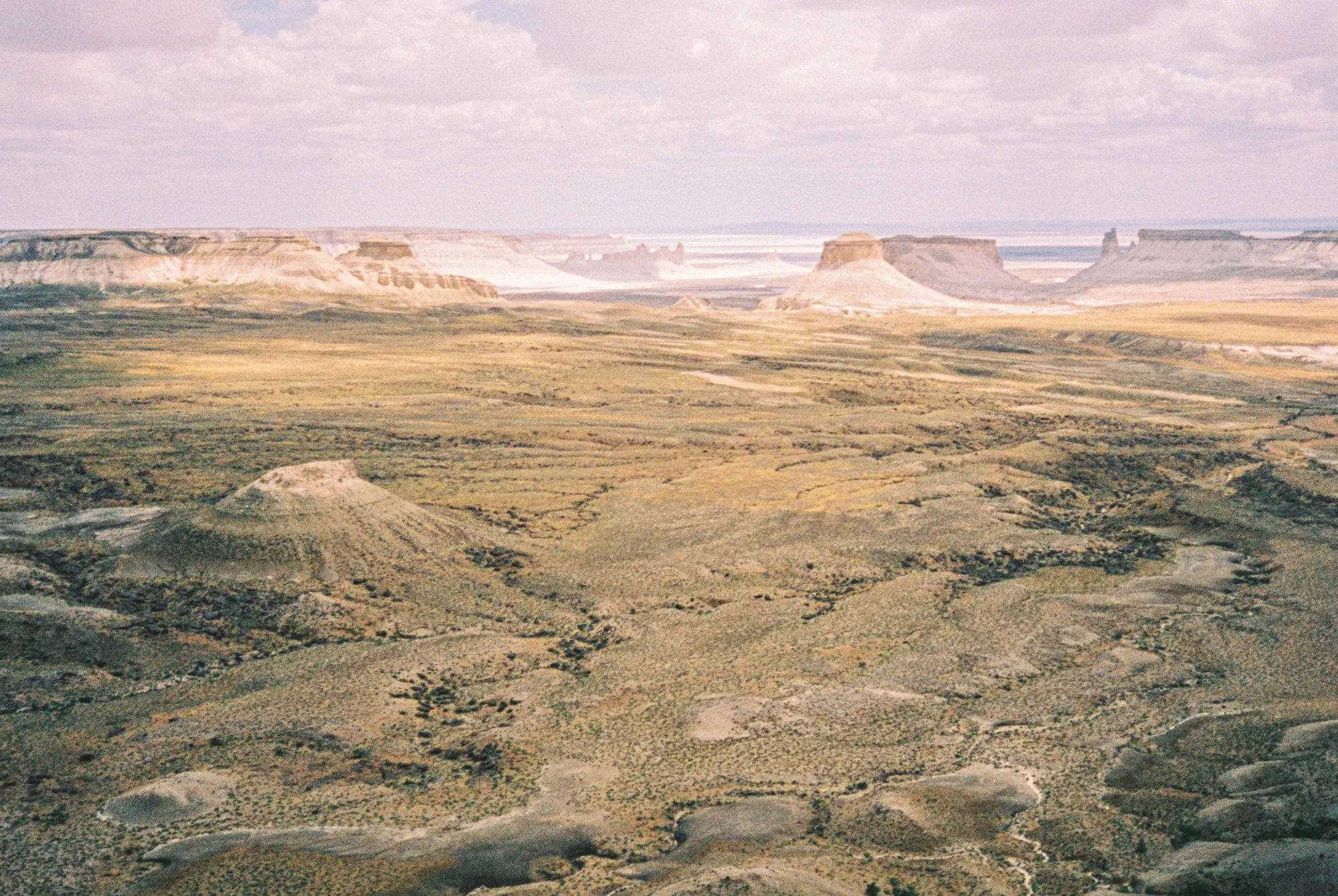 Mangistau Steppe, Anatoly Suzdaltsev (Kazakhstan)