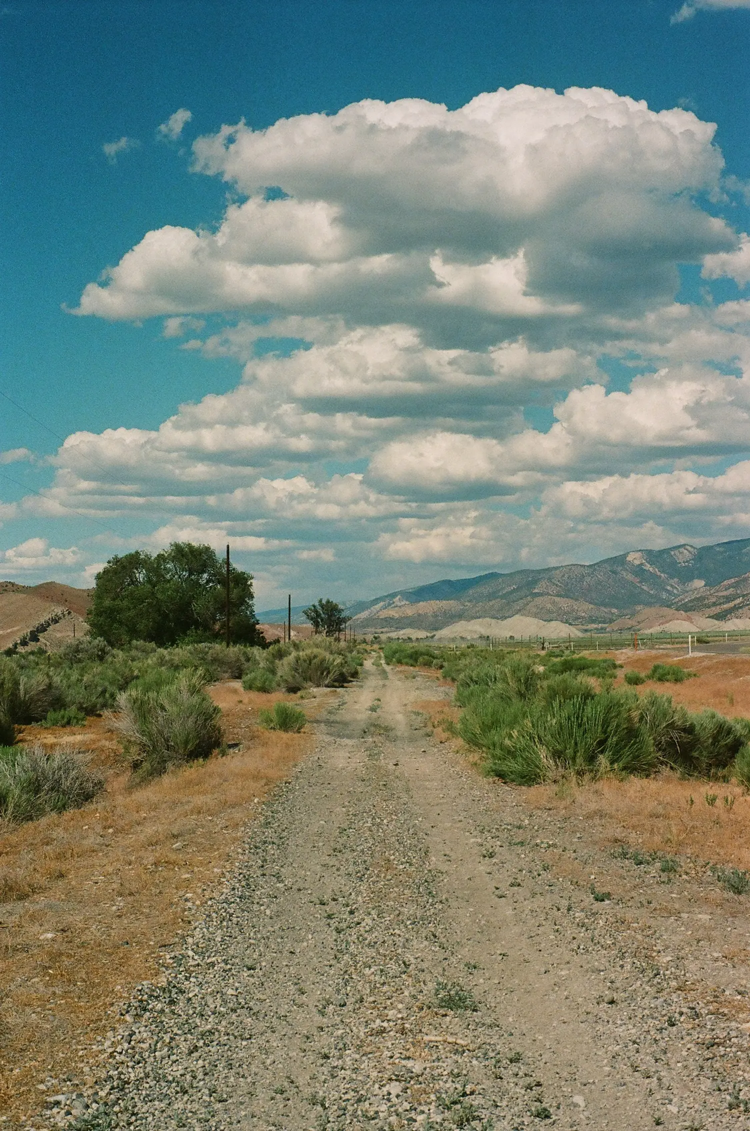 Beneath a Painted Sky, Brandi Gilbert (USA)