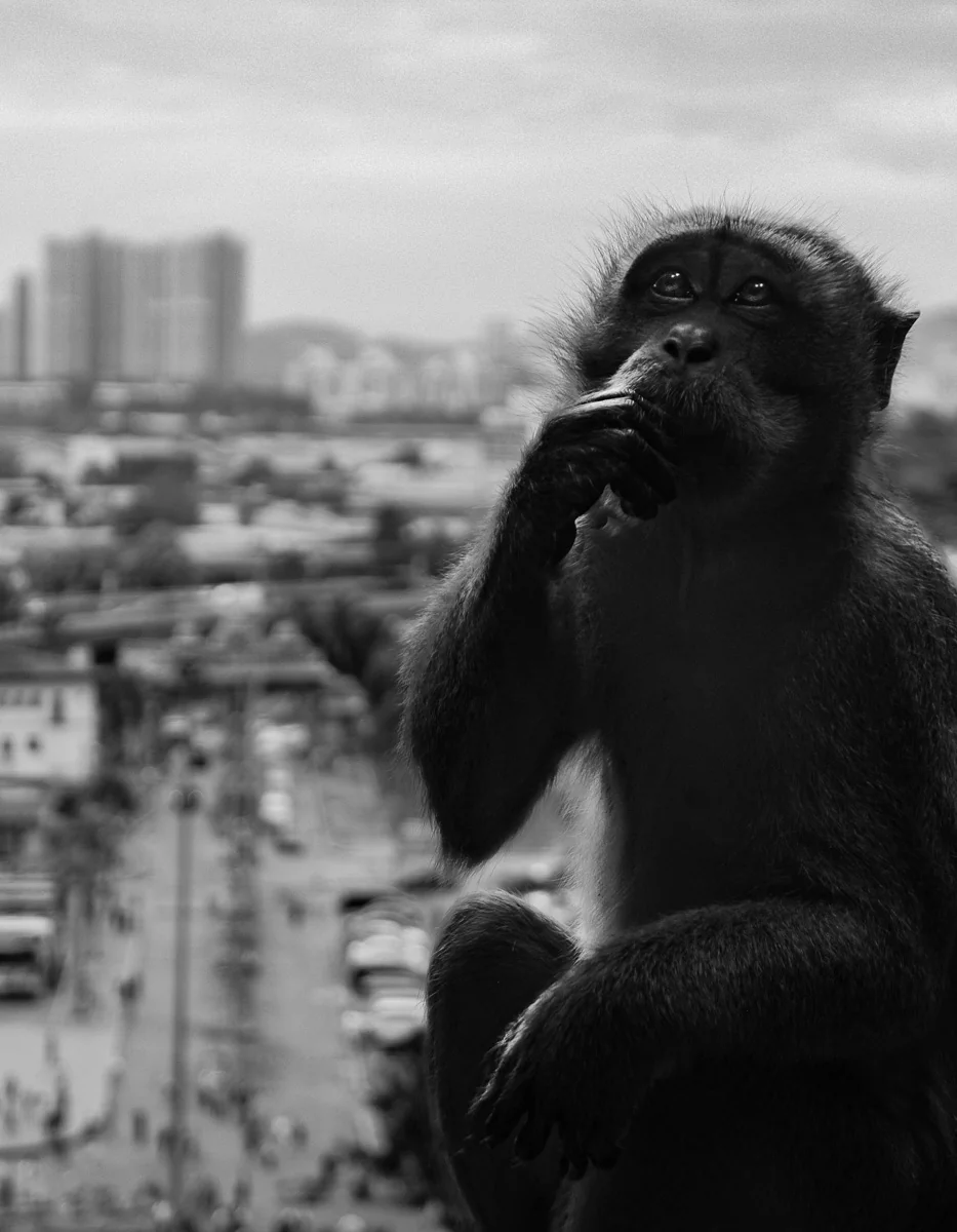 City Thoughts, Simon ARVATI (France)