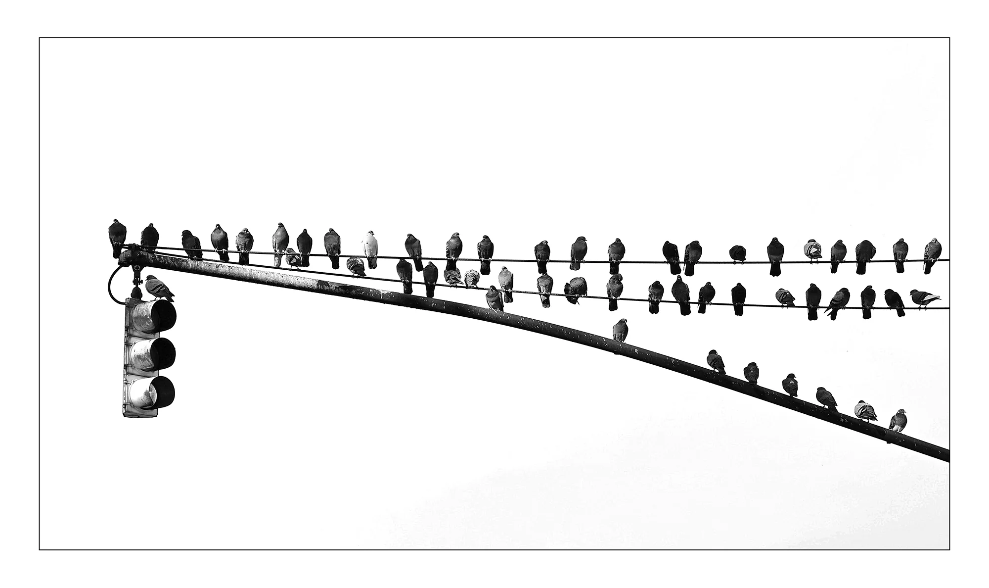 Downtown NYC, Colin Page (UK)