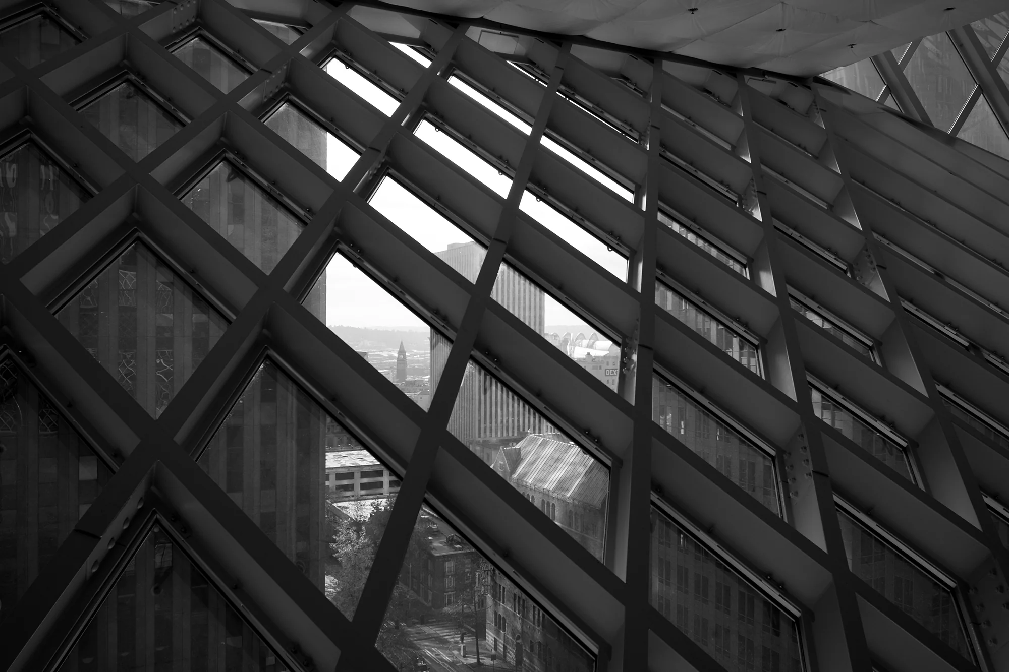 Natural Spotlight, Joshua Hoffman (USA)