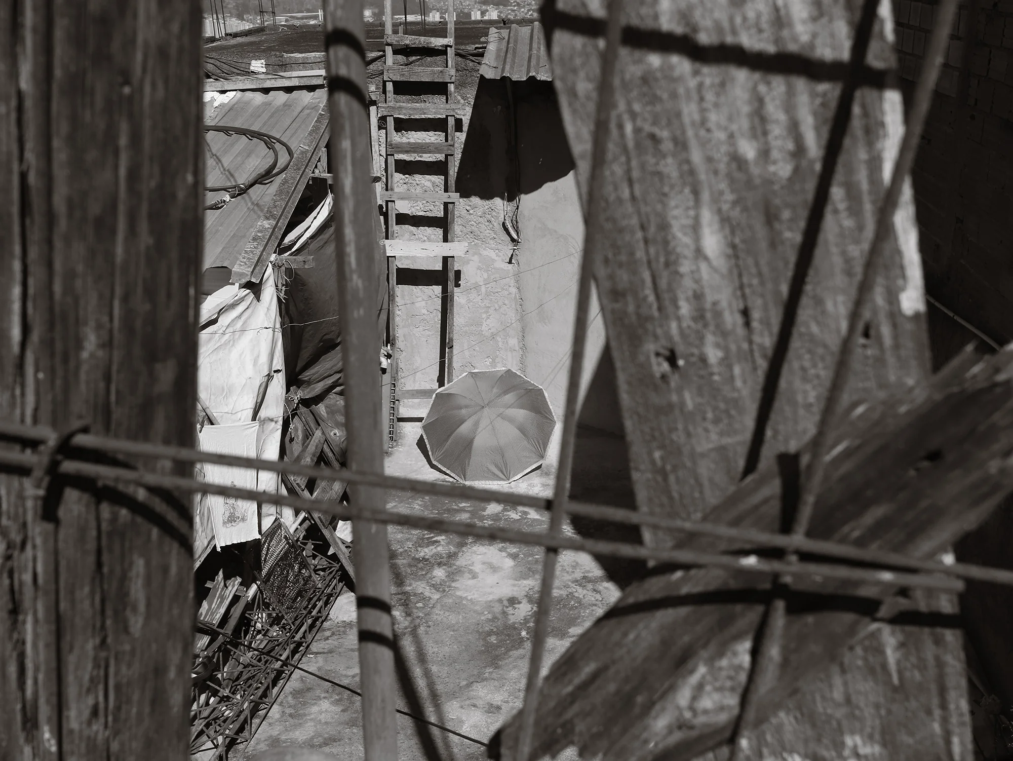 What Did the Silence Tell Me, Fabio Alves (Brazil)