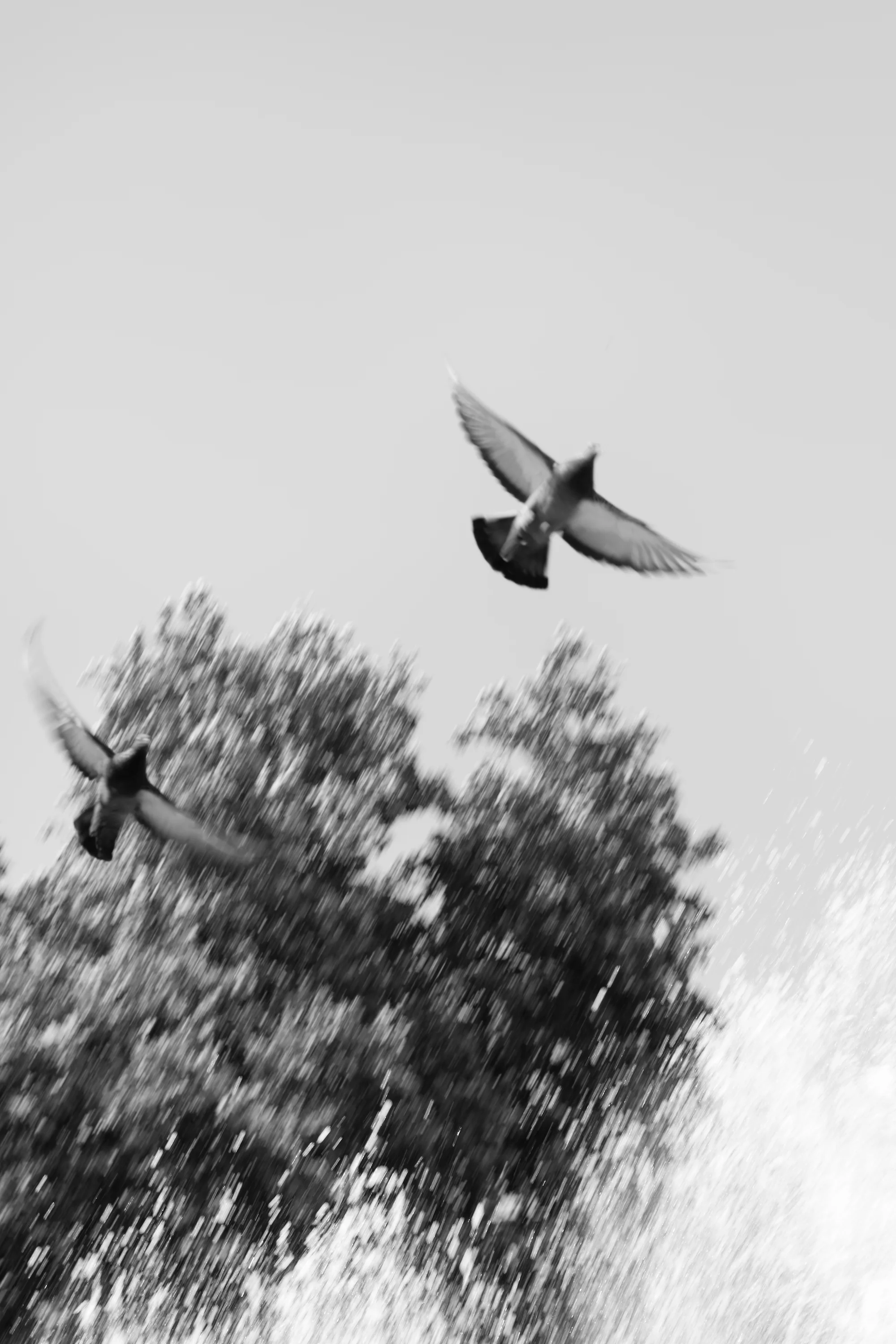 The Memory of Something  That Will No Longer Happen, Anastasiya Trotskaya (Belarus)