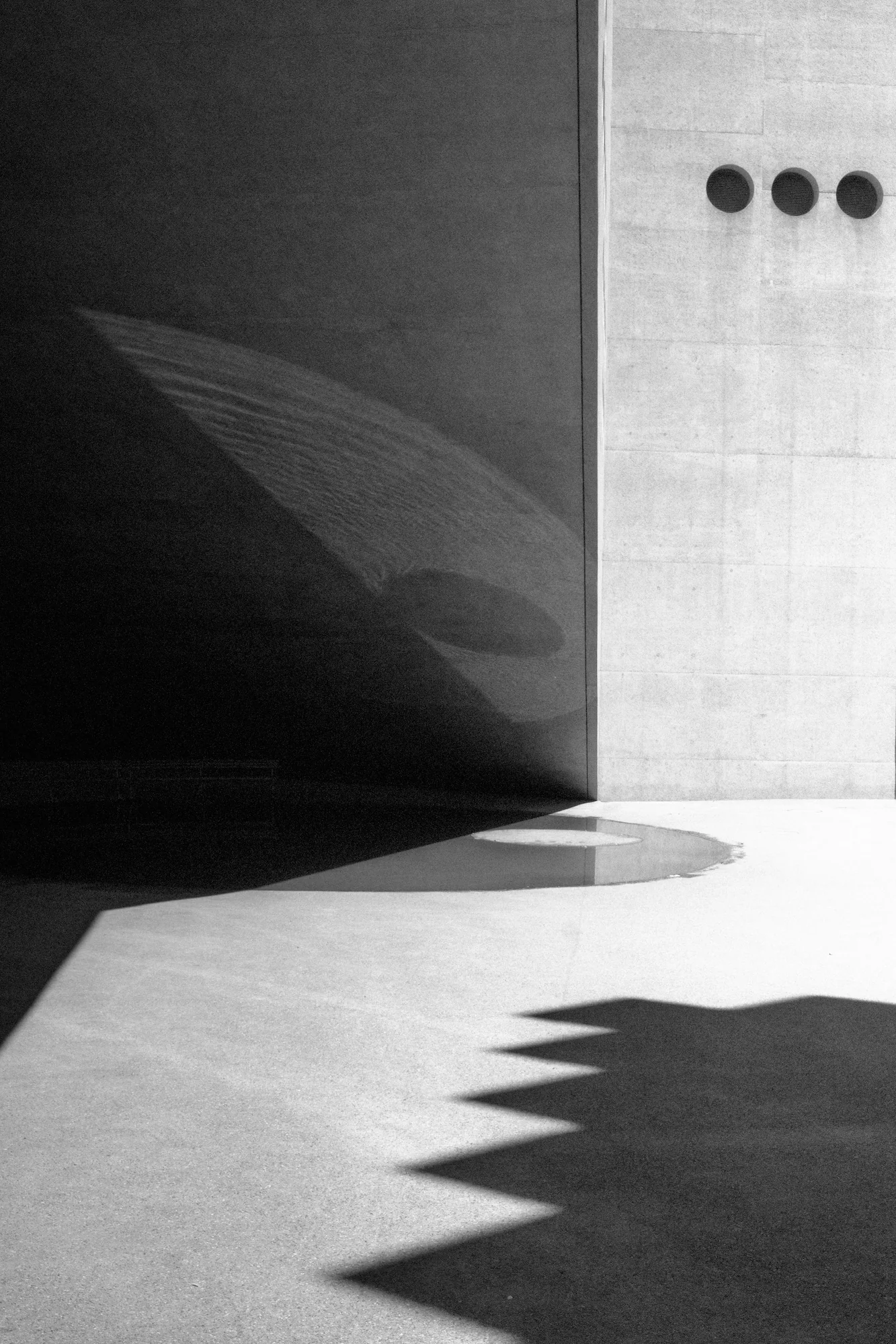 Shadow, Jakub Wichtowski (Poland)