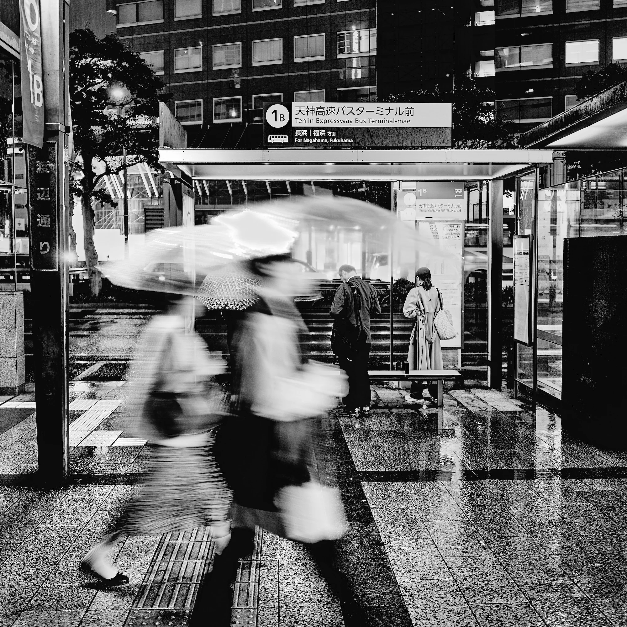 Busstop in the Rain, Chris Freeman (UK)
