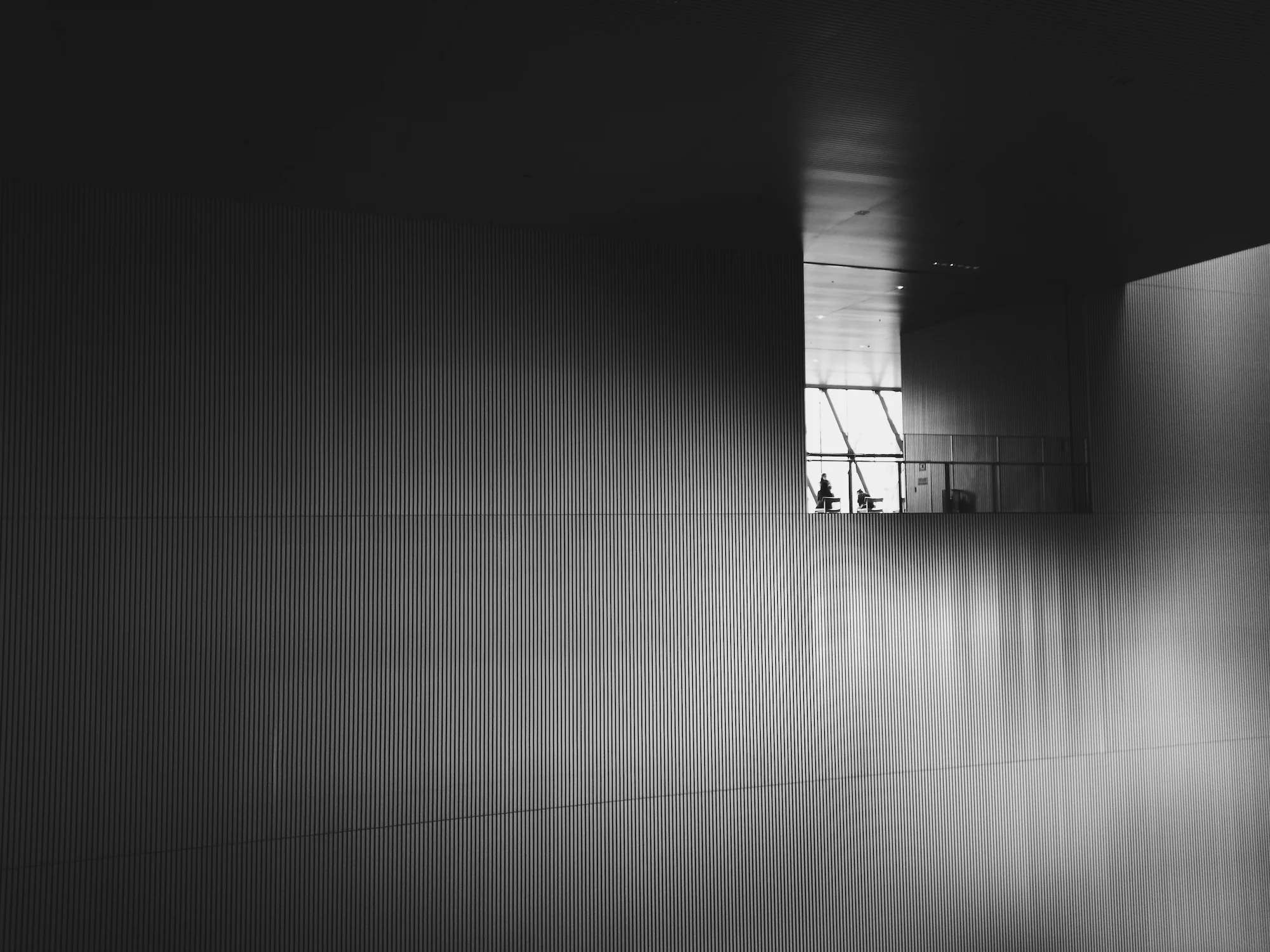 Imaginary, YUMINGHUI (China, Malaysia)