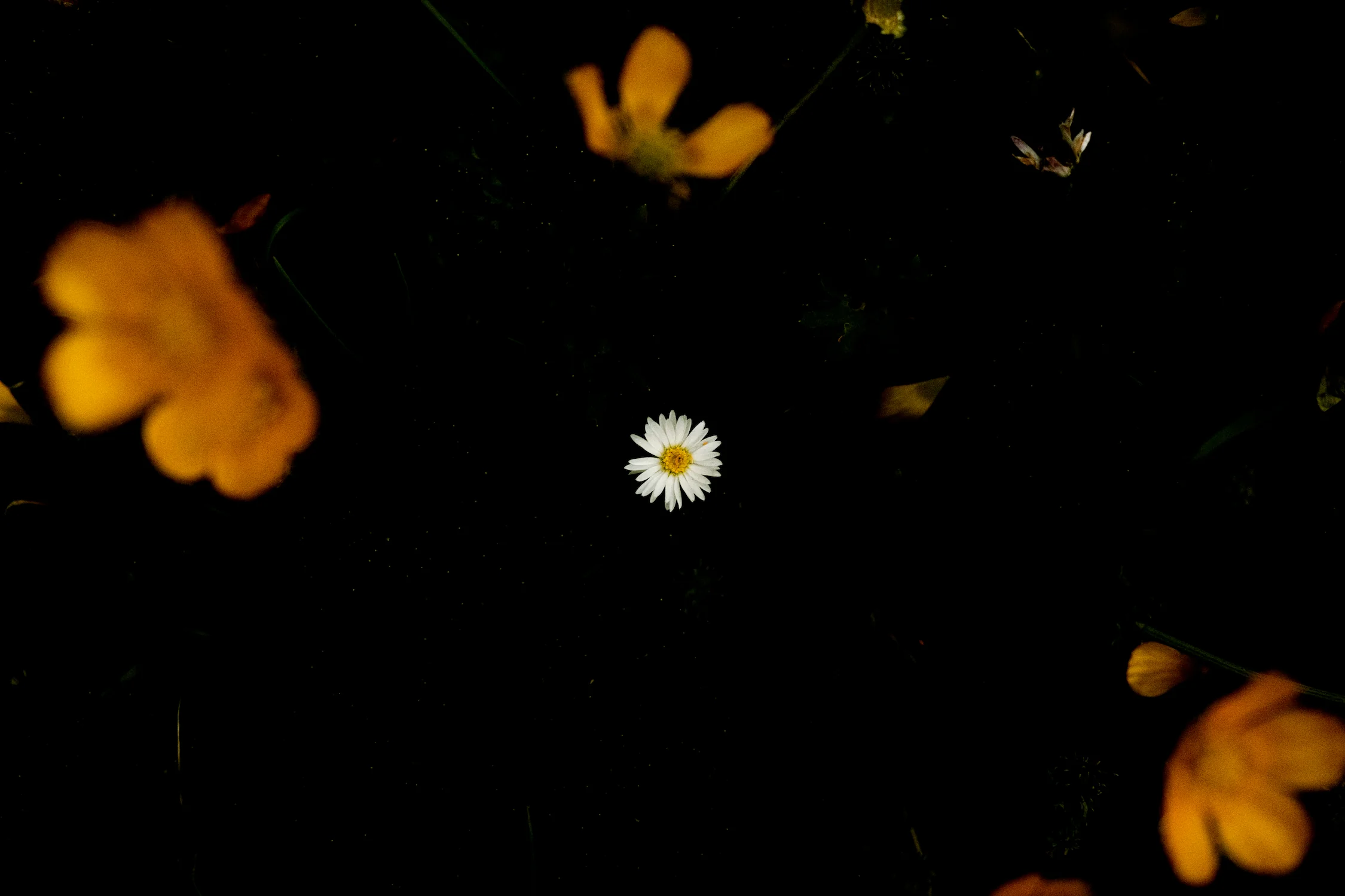 Busstop in the Rain, Chris Freeman (UK)