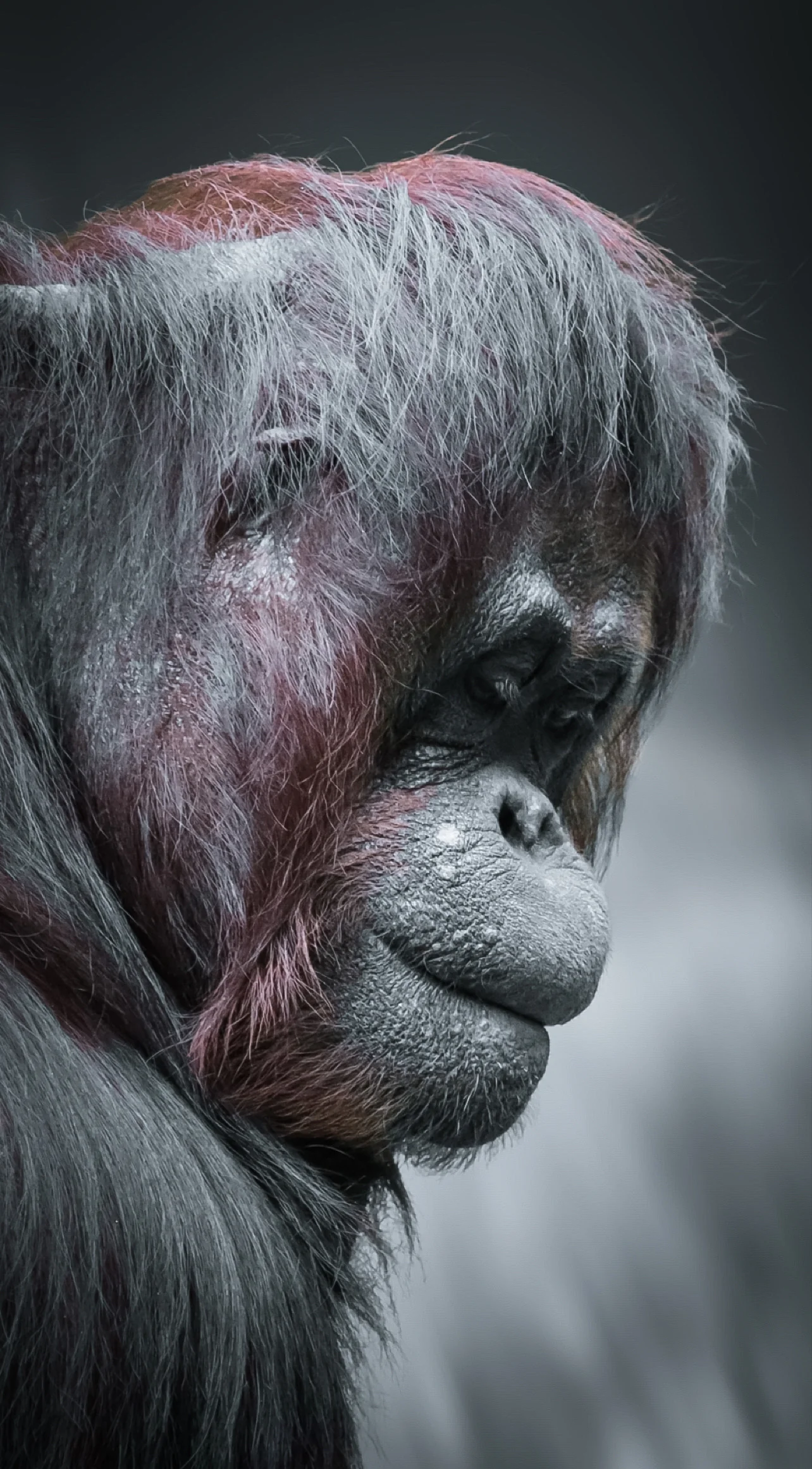 Lost in Thoughts, Dennis Ehlers (Australia)