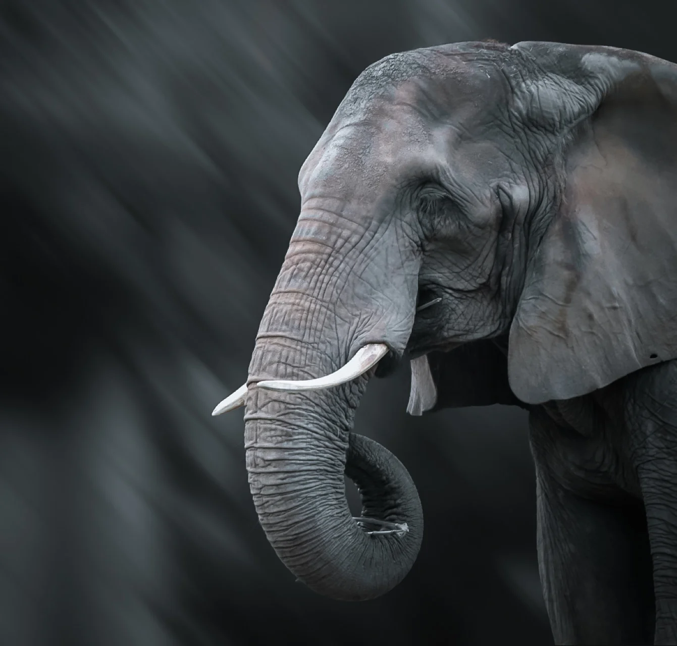 The Weight of Memory, Dennis Ehlers (Australia)