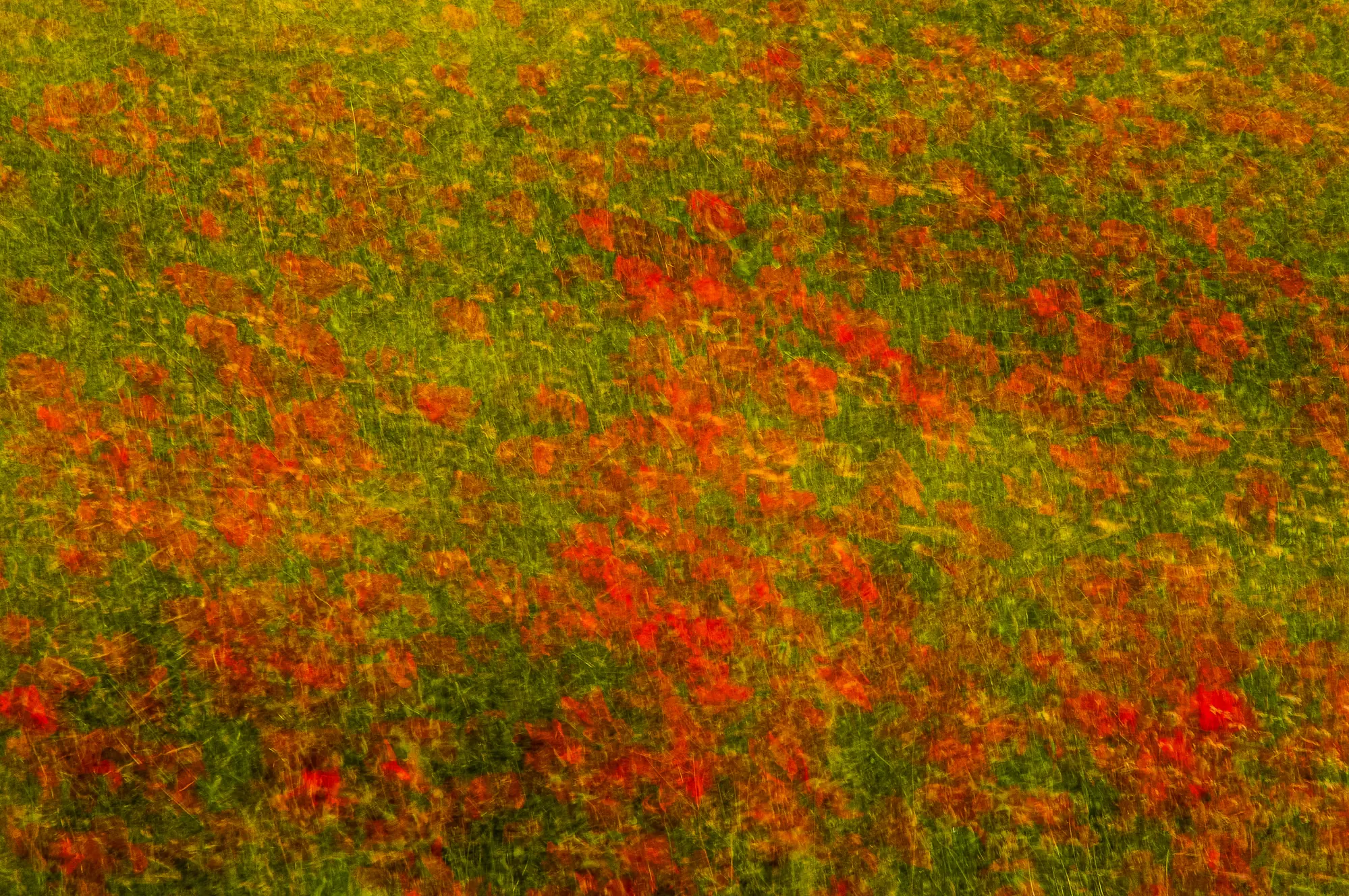 Love doesn't Sleep, Marcello Massaro (Italy)