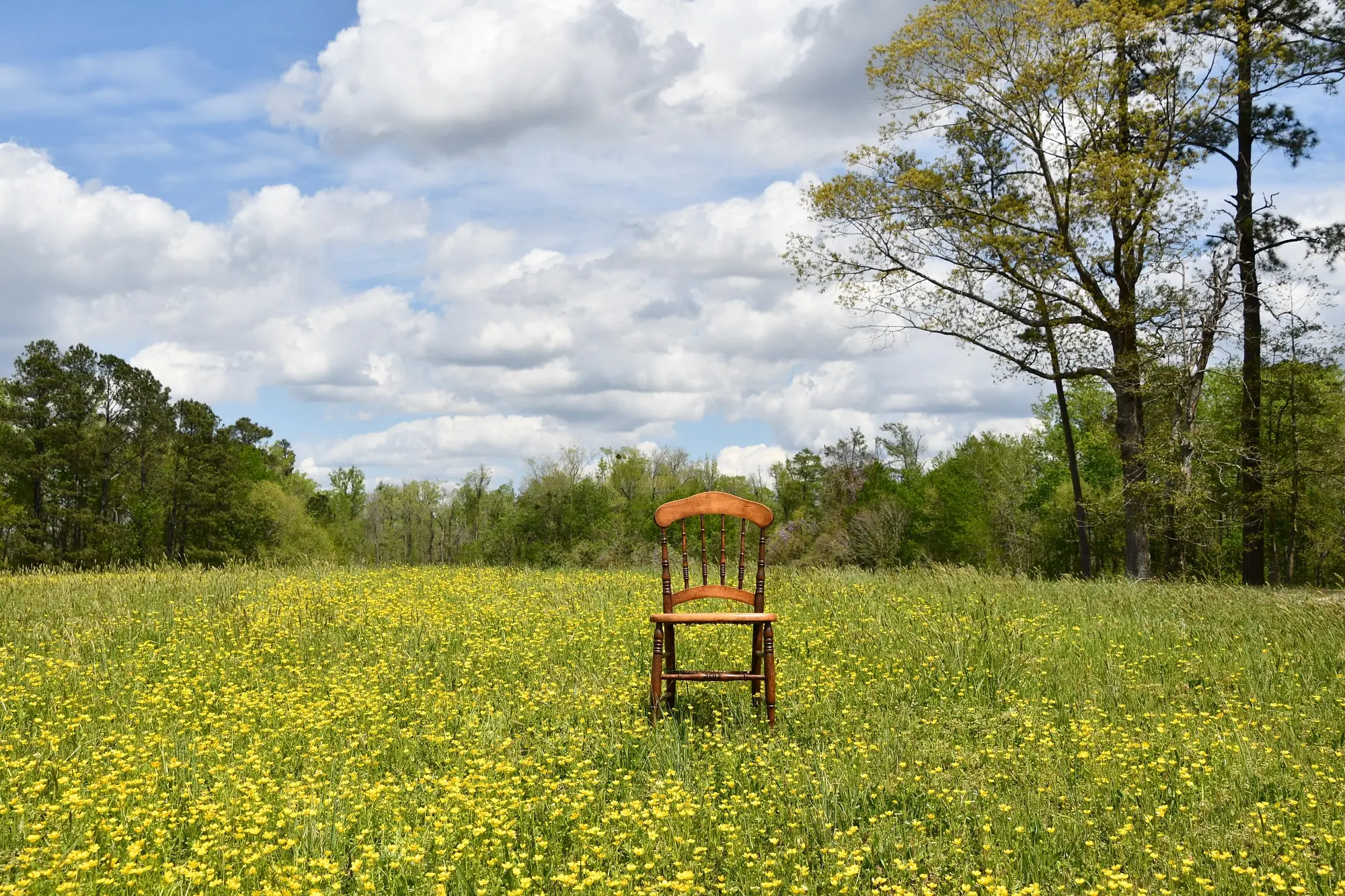 Sit, Steven C. White (Italy)