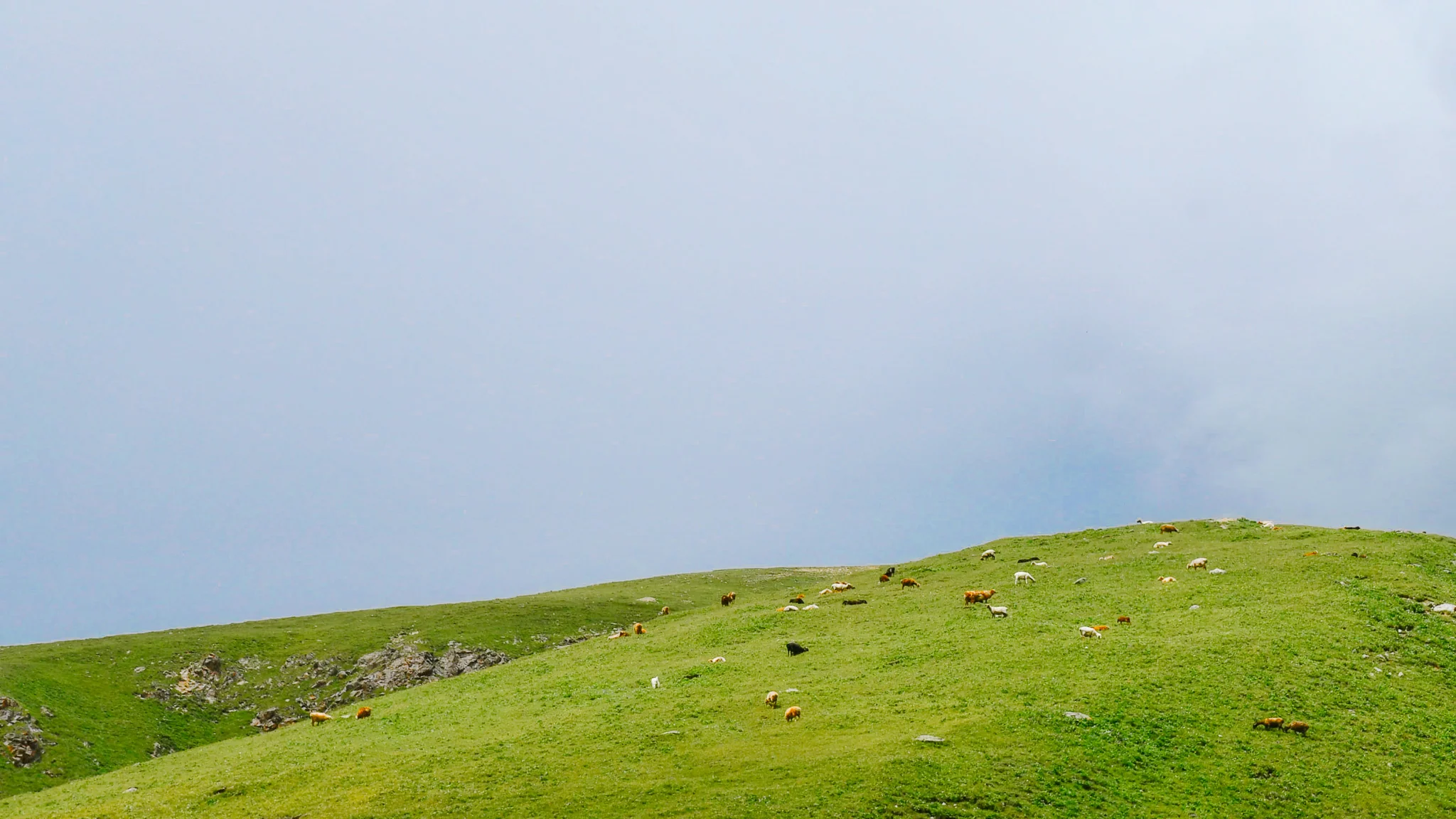 Flowing Green series, Qinying Zhou (Singapore)