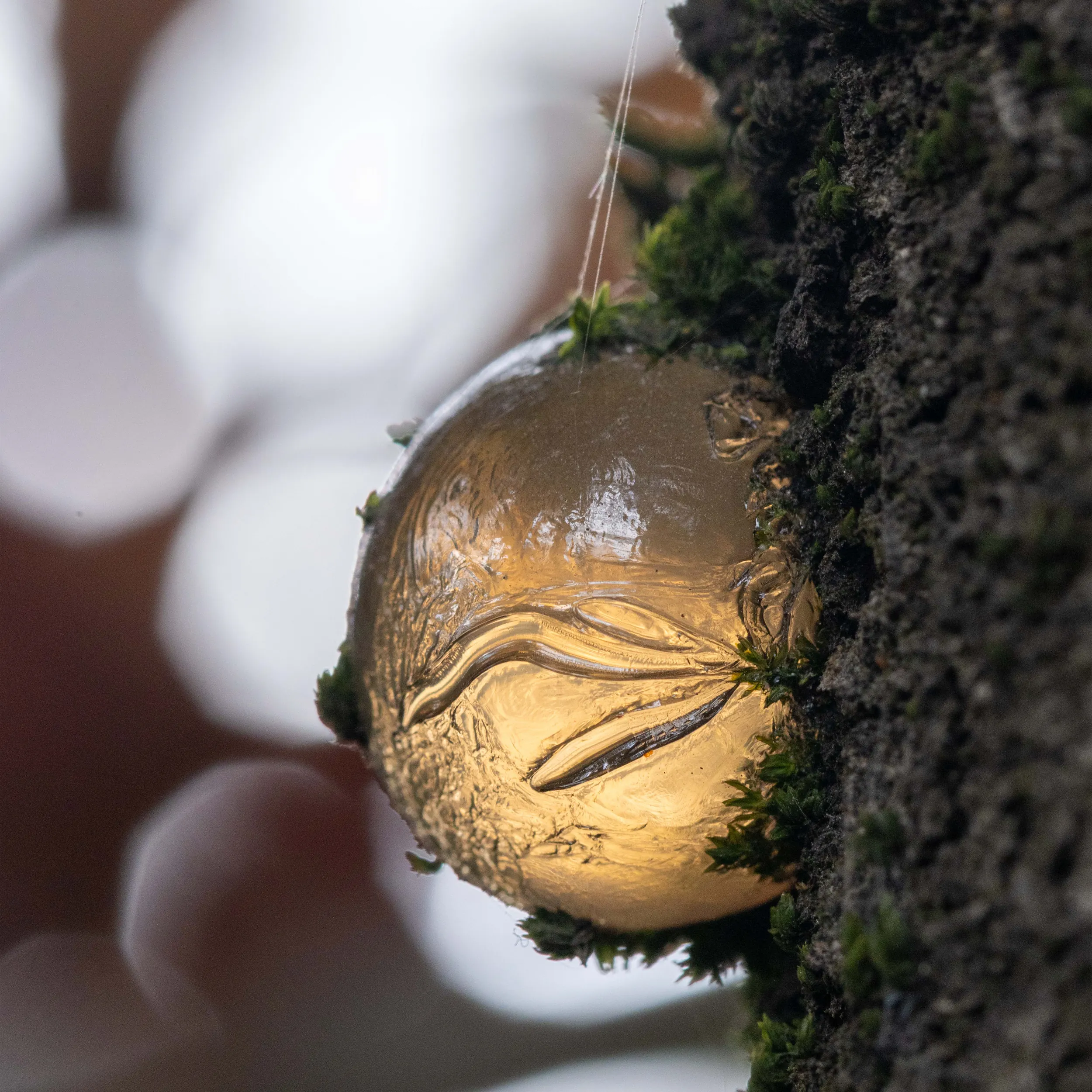 The Heart of Resin, Hüseyin Gün (Turkey)