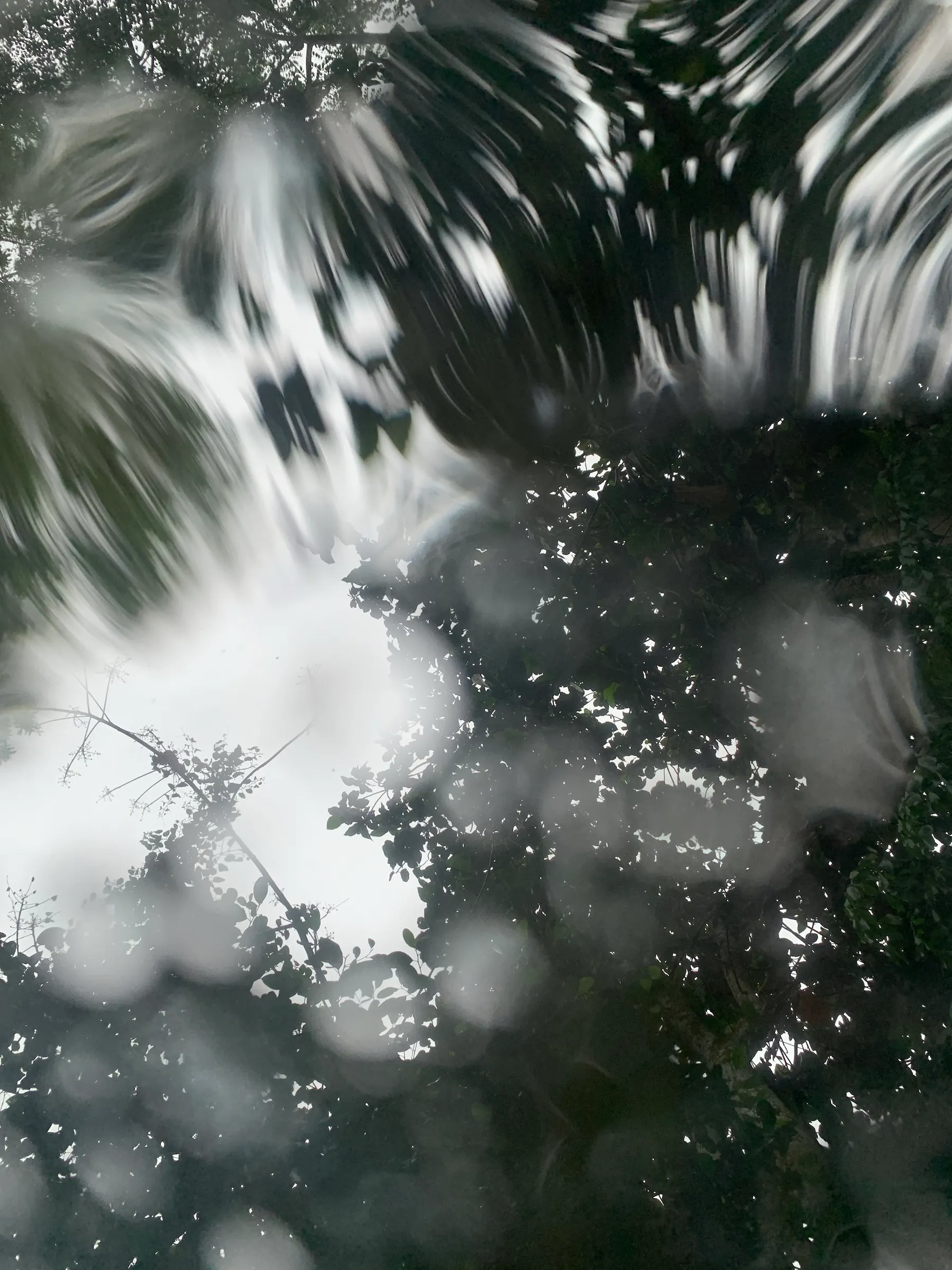 Dreamlike Rain series, Yao Yao (China/UK)