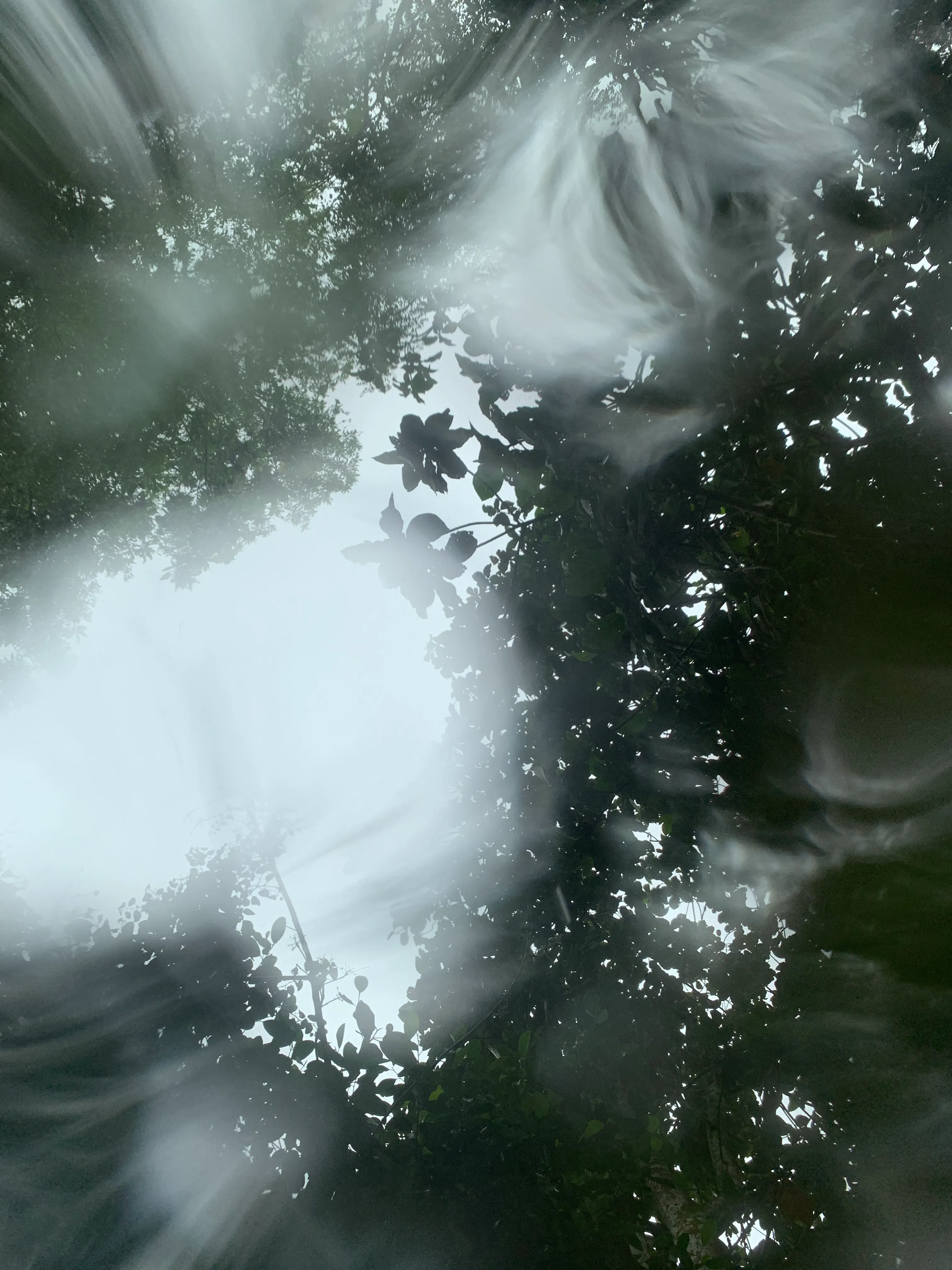 Dreamlike Rain series, Yao Yao (China/UK)