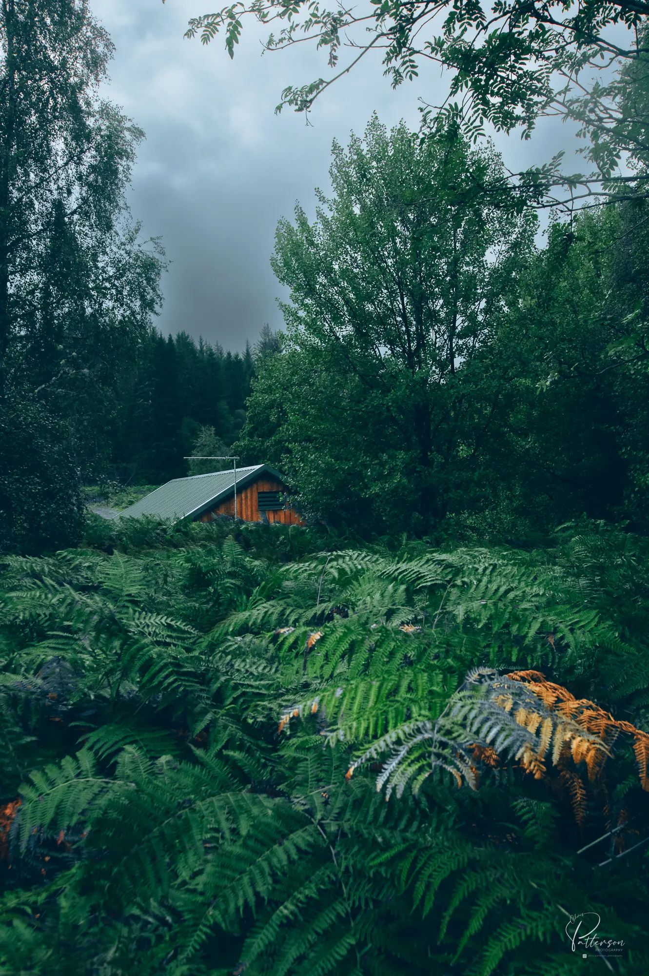 Fern Cabin, Chris Patterson (Scotland)