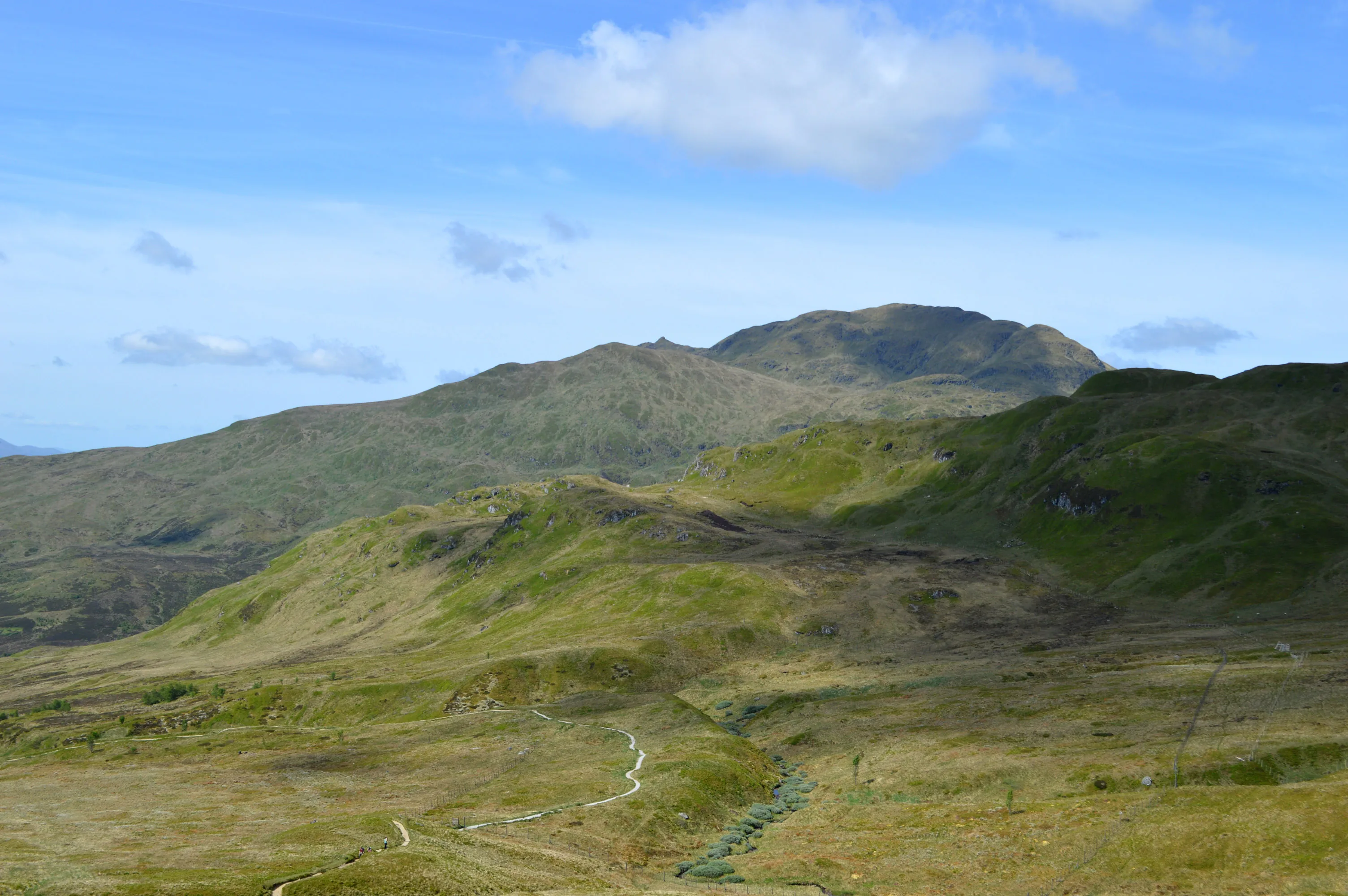 Grief, Ruth Holly (UK)