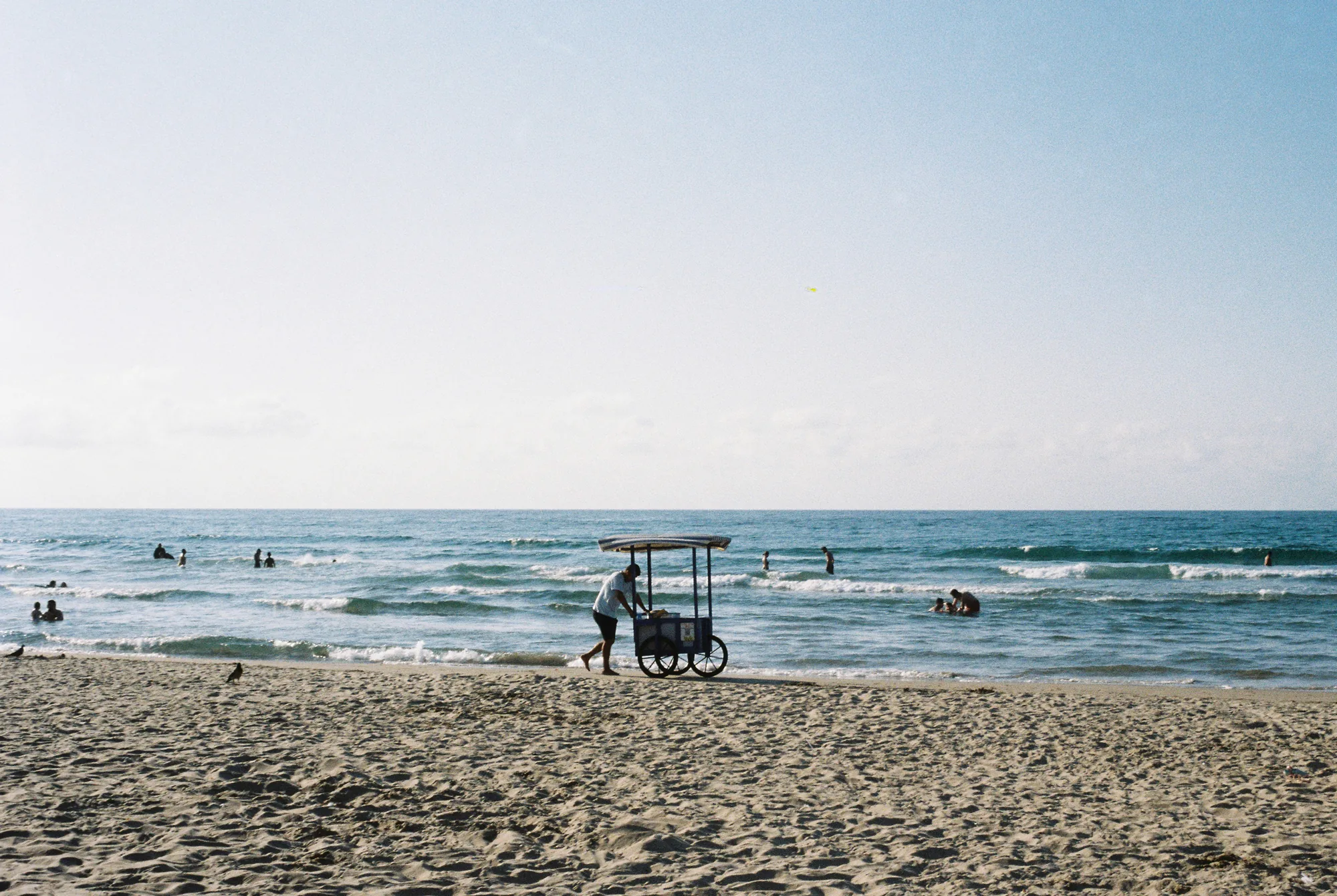 Simple Joy, Nikita Evsuk (Turkey)