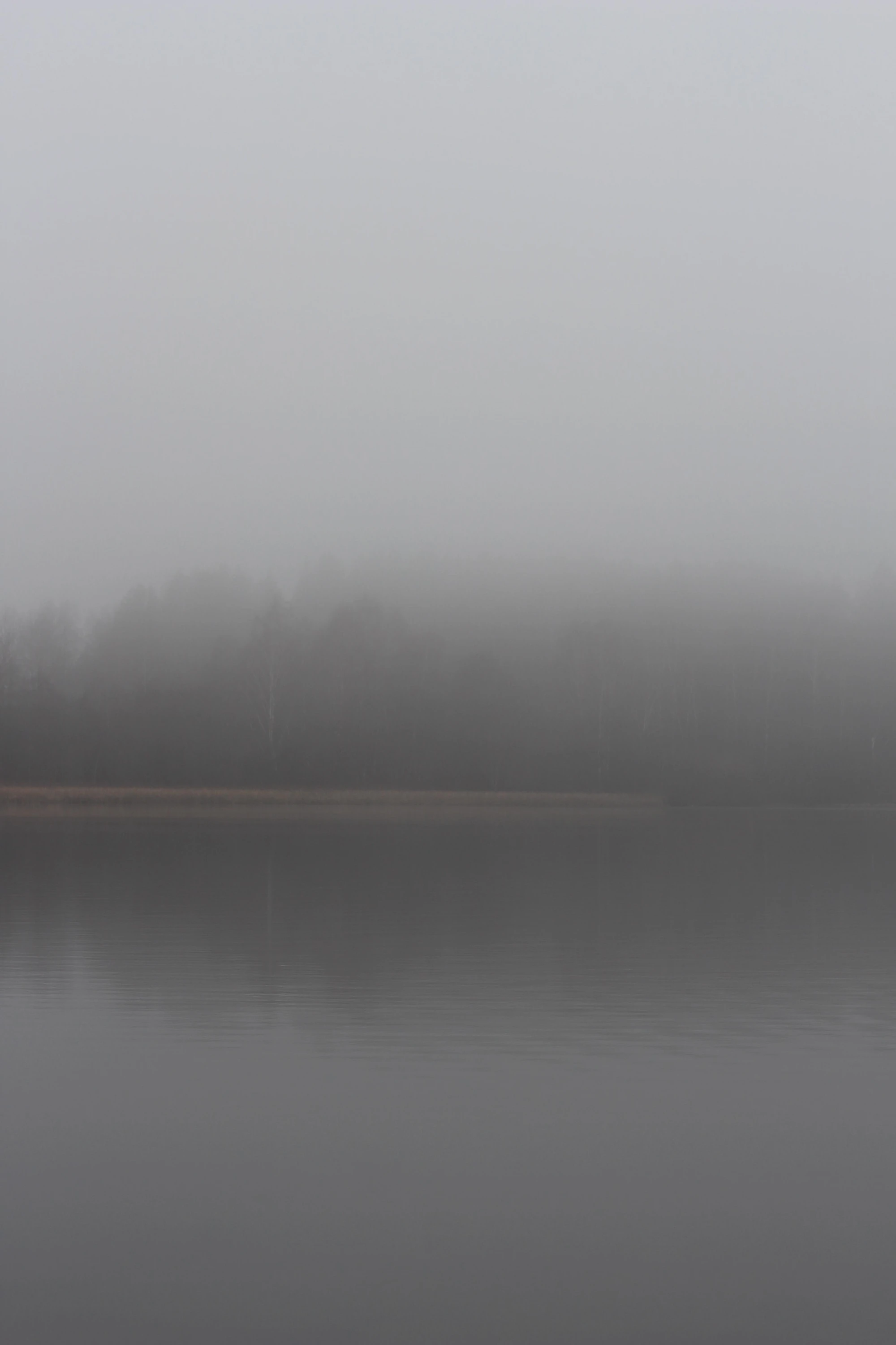 Fog, Aliaksandra Markava (Belarus)