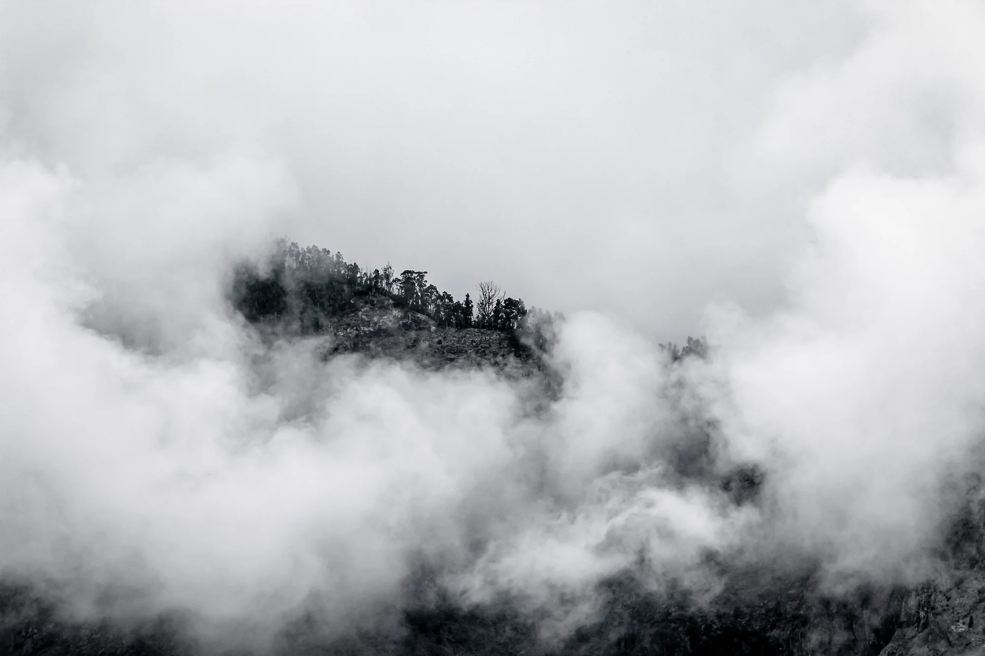 Hidden Land, Barbora Koubková (Czech Republic)