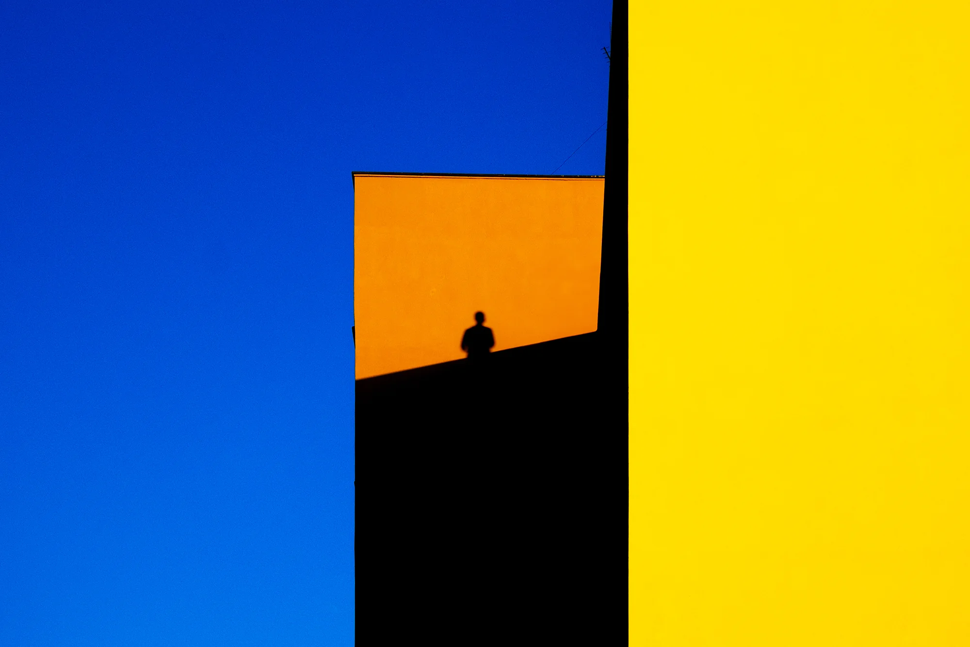 Covid Time, Corrado Ippoliti (Italy)