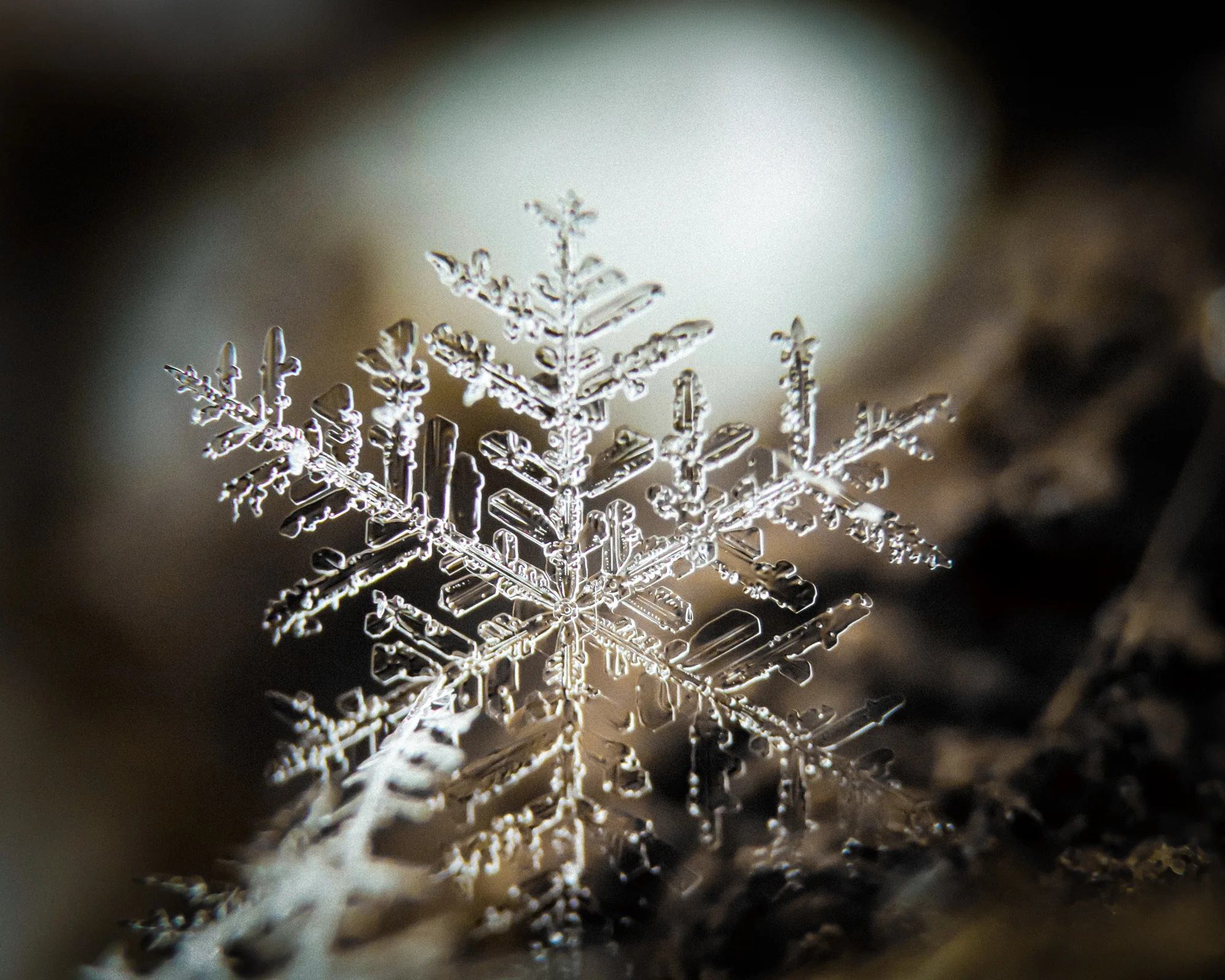 Snowflake, Michael Schwab (Austria)